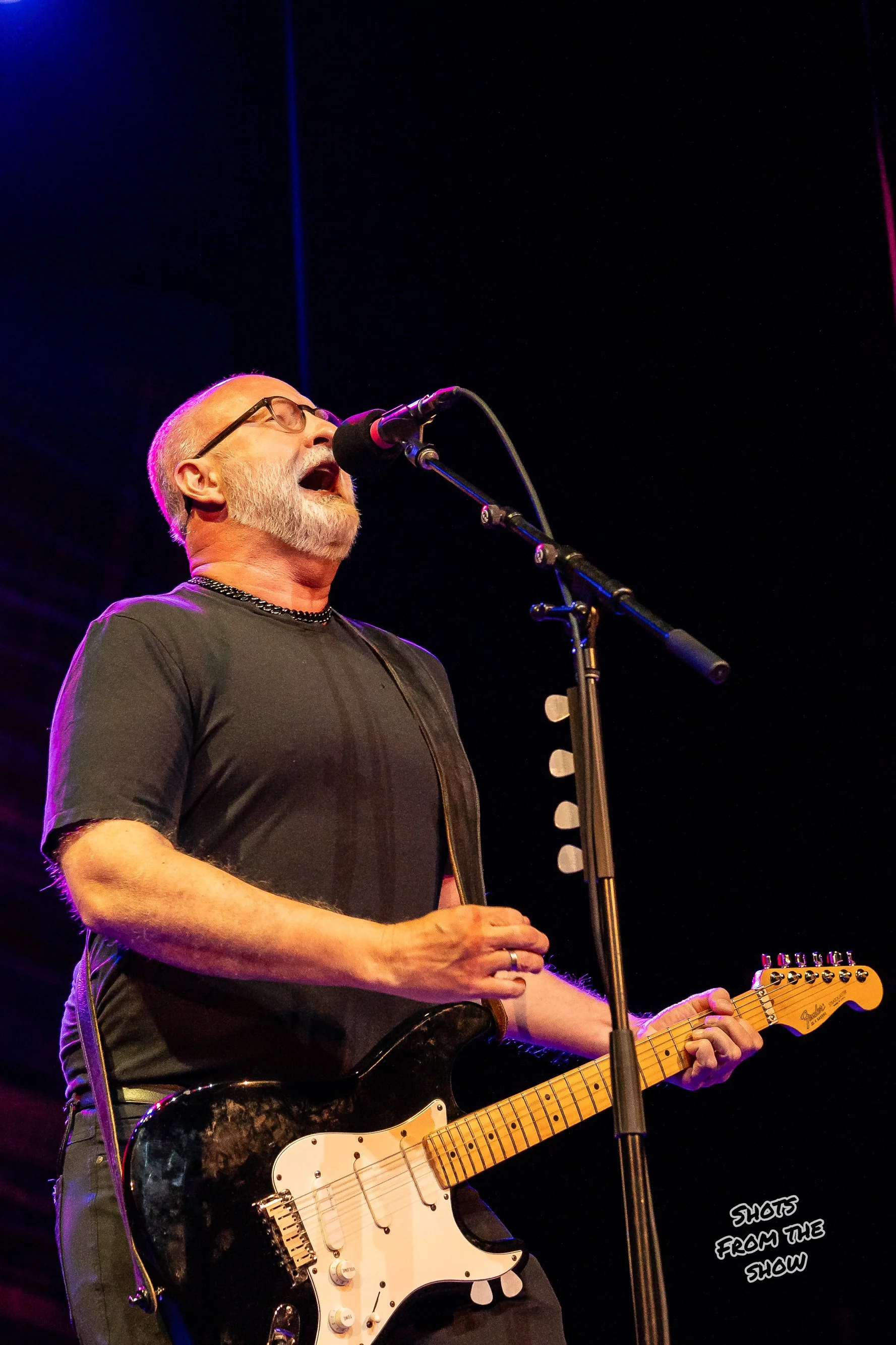 sugar-11.jpg