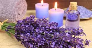 Lavender Whispers Aromatherapy