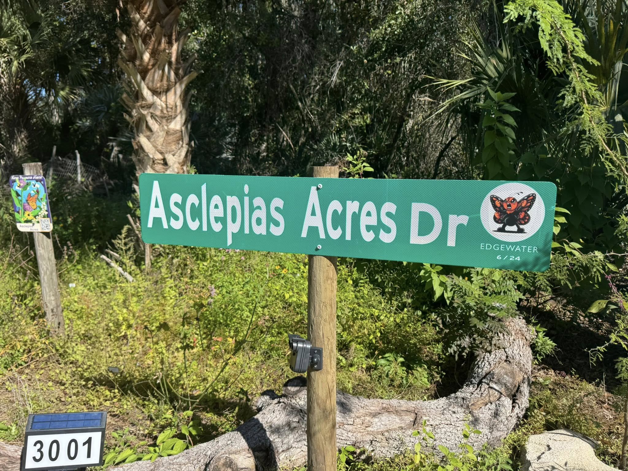 A Lovely Saturday At Asclepias Acres