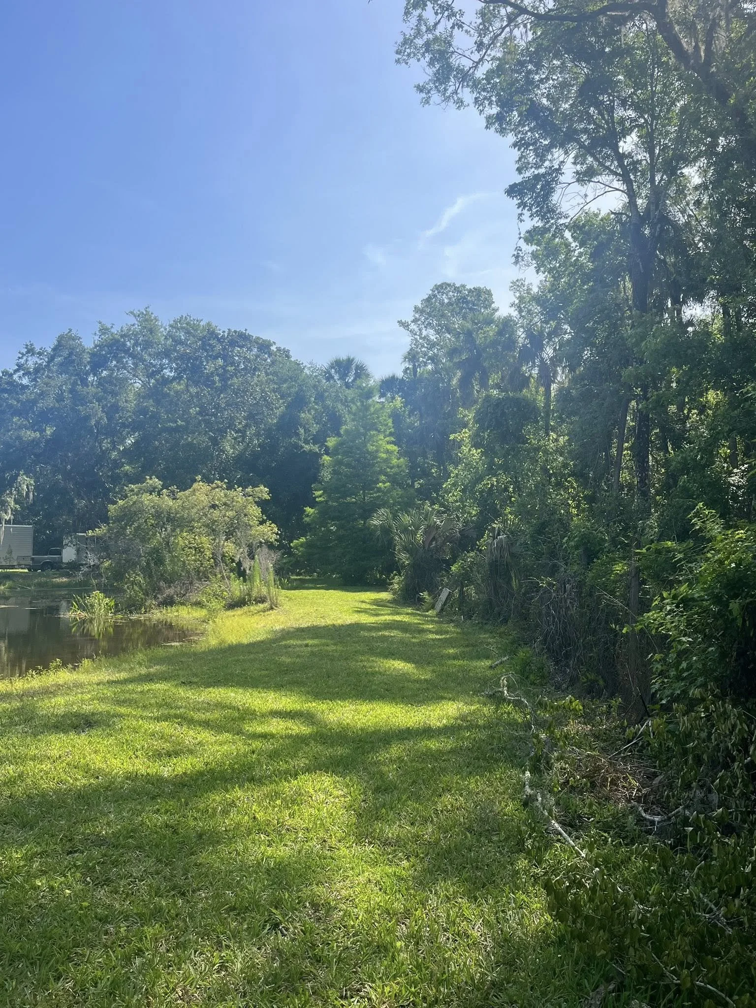 A Field Trip to Asclepias Acres - A Florida Native Sanctuary in Edgewater