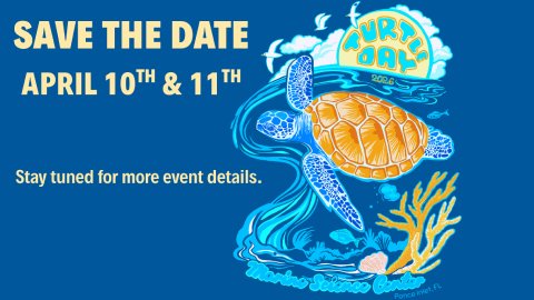 Turtle Day at the Marine Science Center