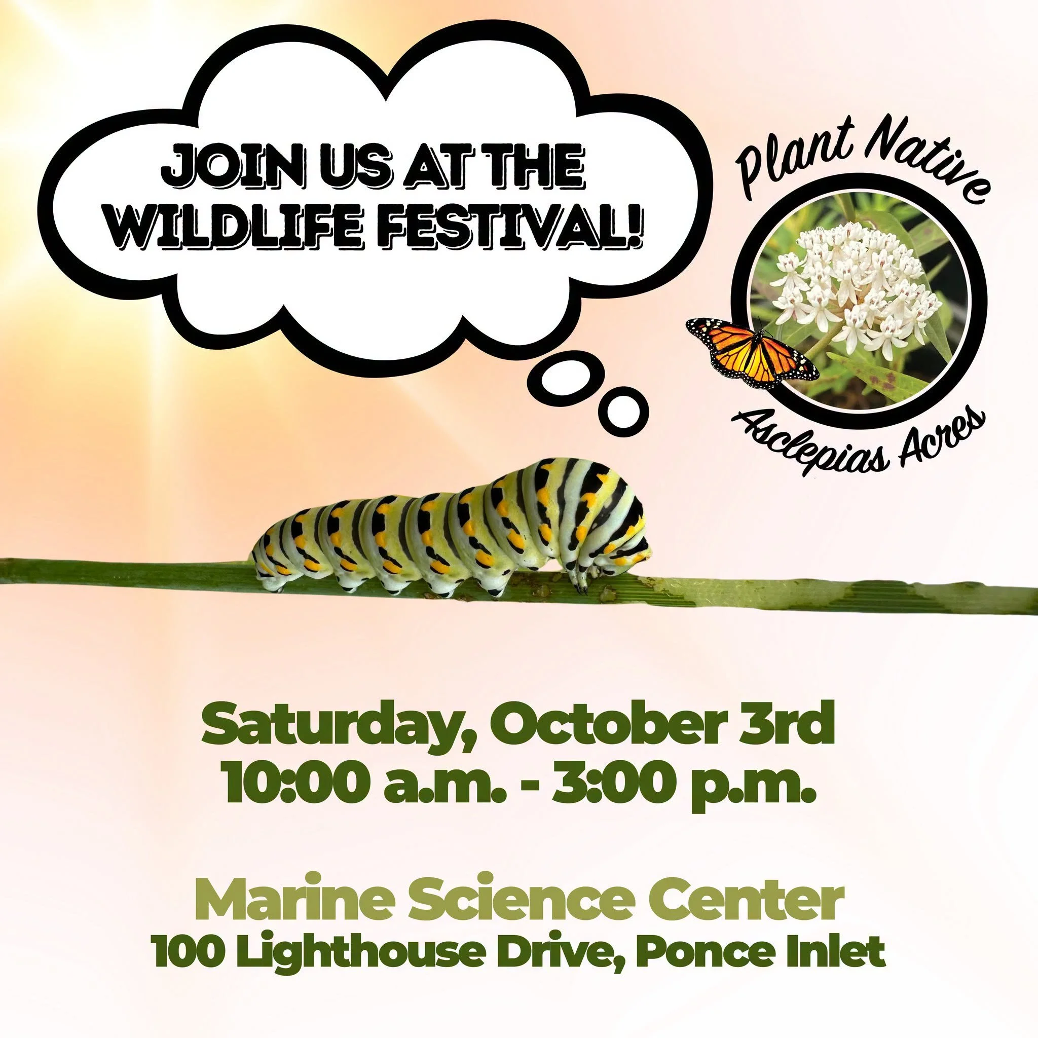 Wildlife Festival 