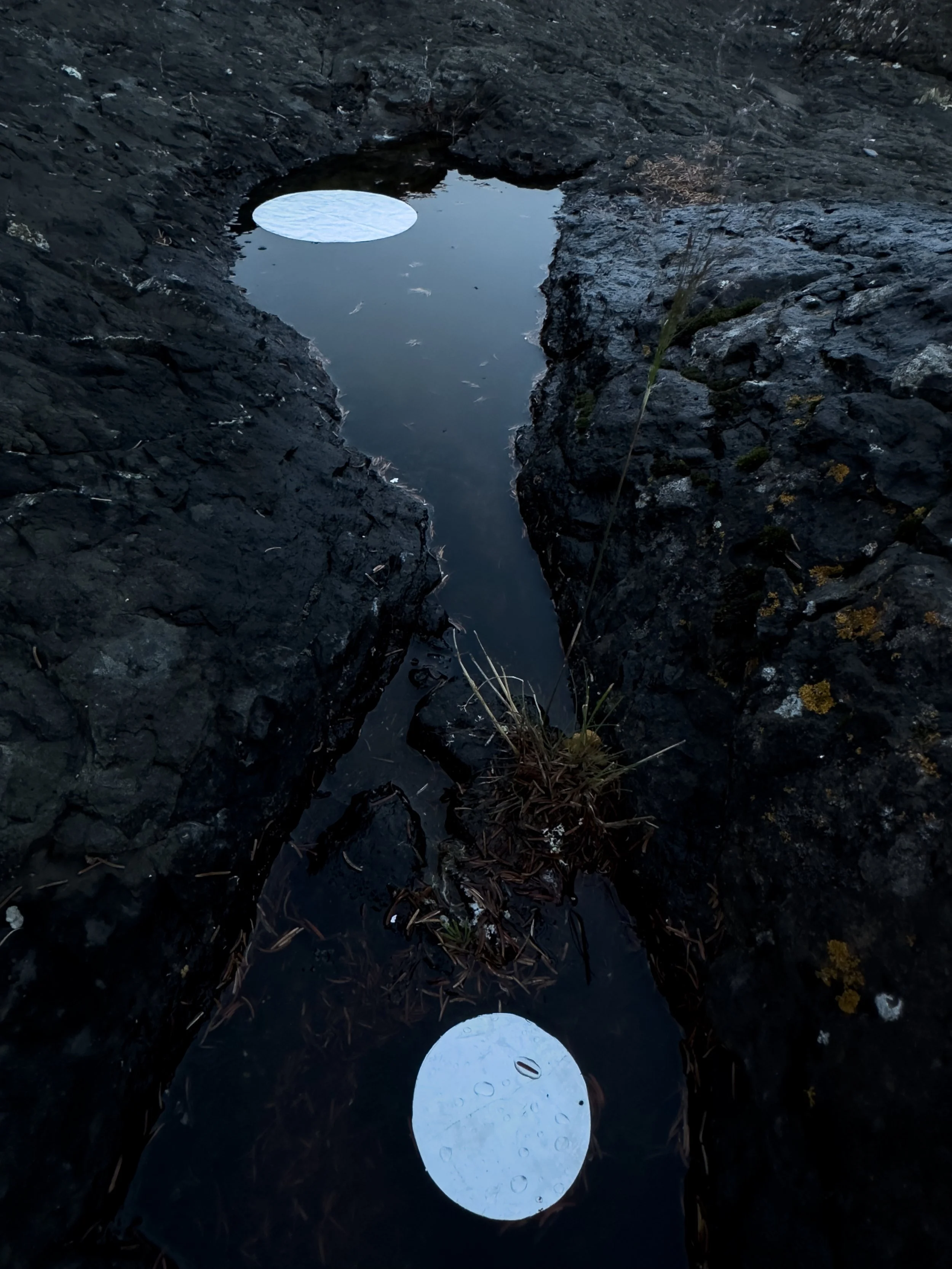 moon mirror IRNP.jpg