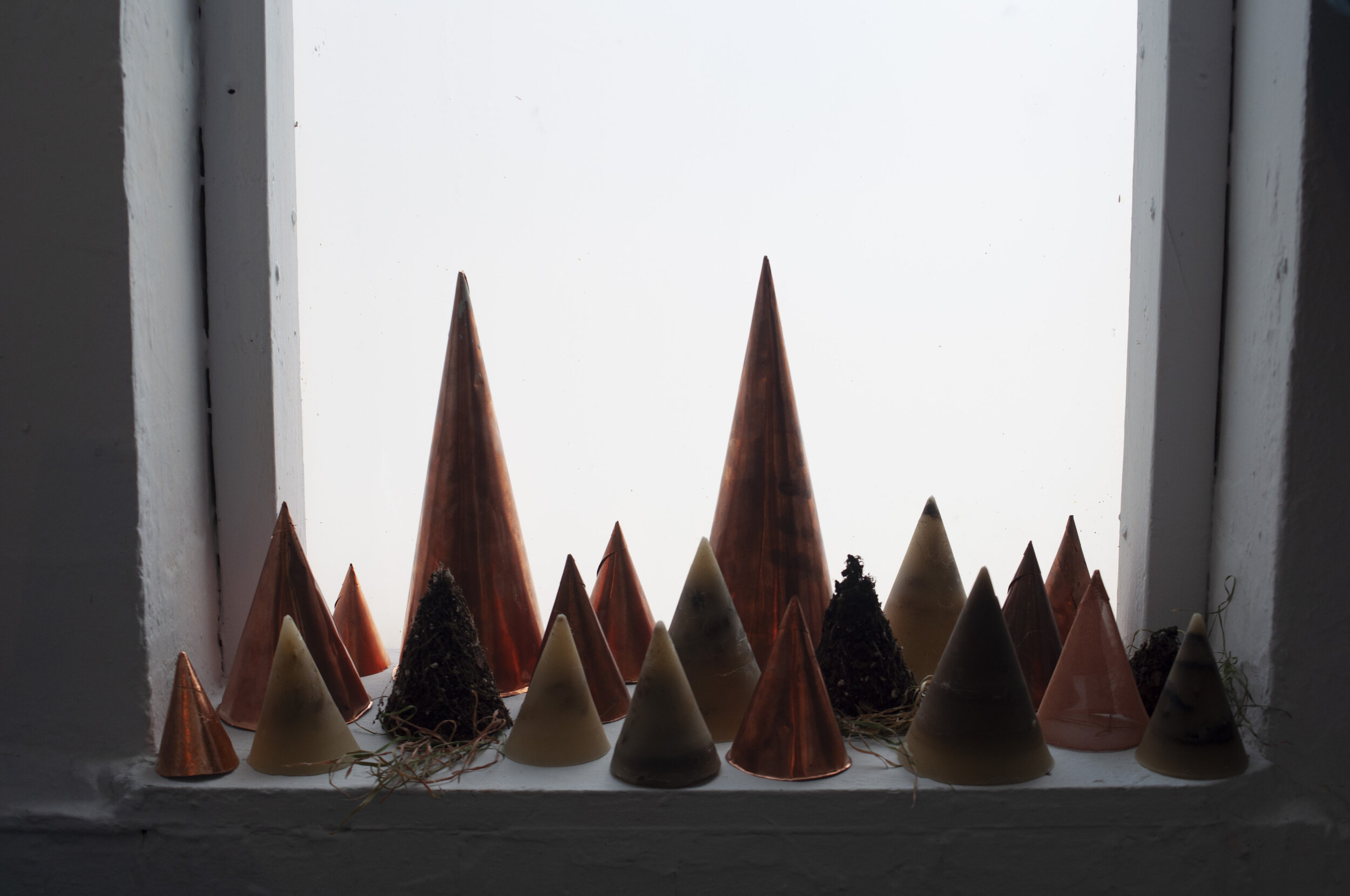 cones variety.jpg