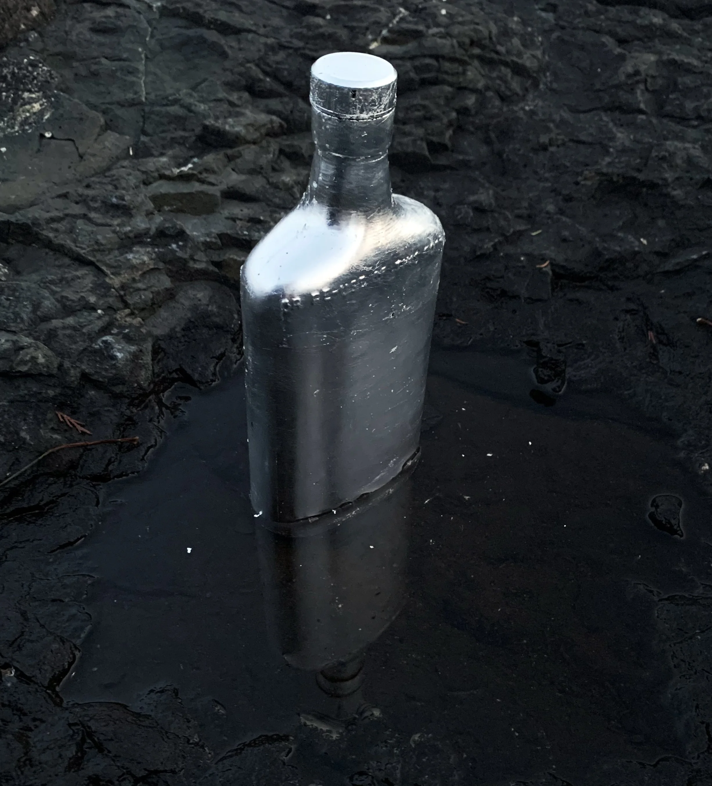 silver moon bottle.jpg