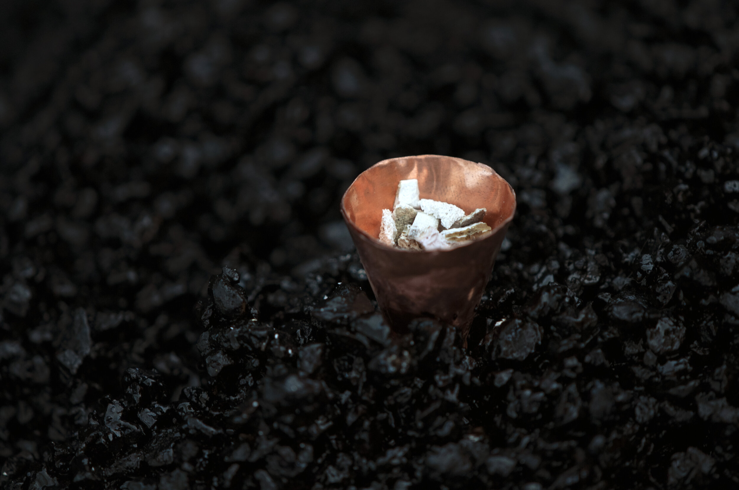 copper asphalt w bones.jpg