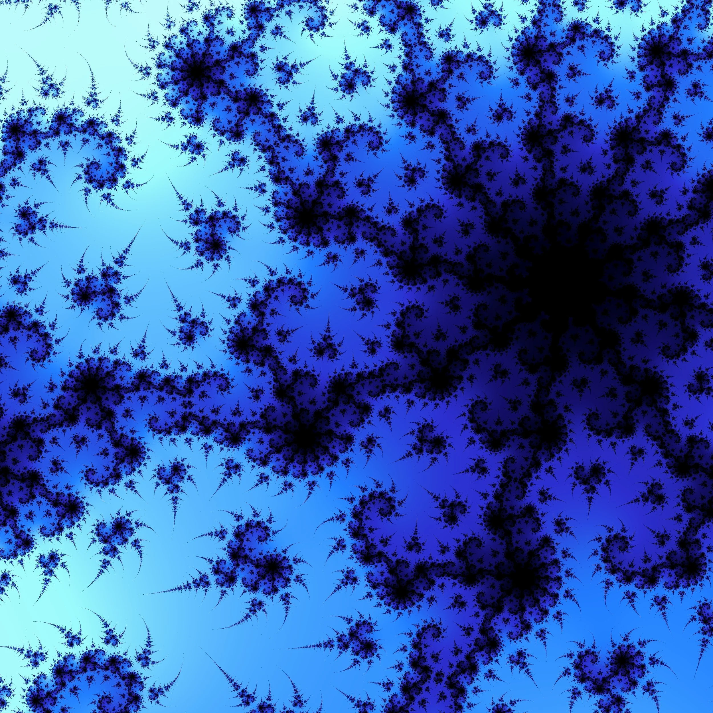 FE_20210316_022901 - Copy.jpg