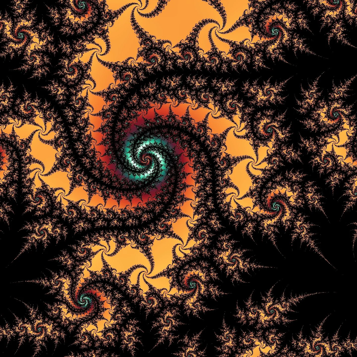 FE_20210320_070512 - Copy.jpg