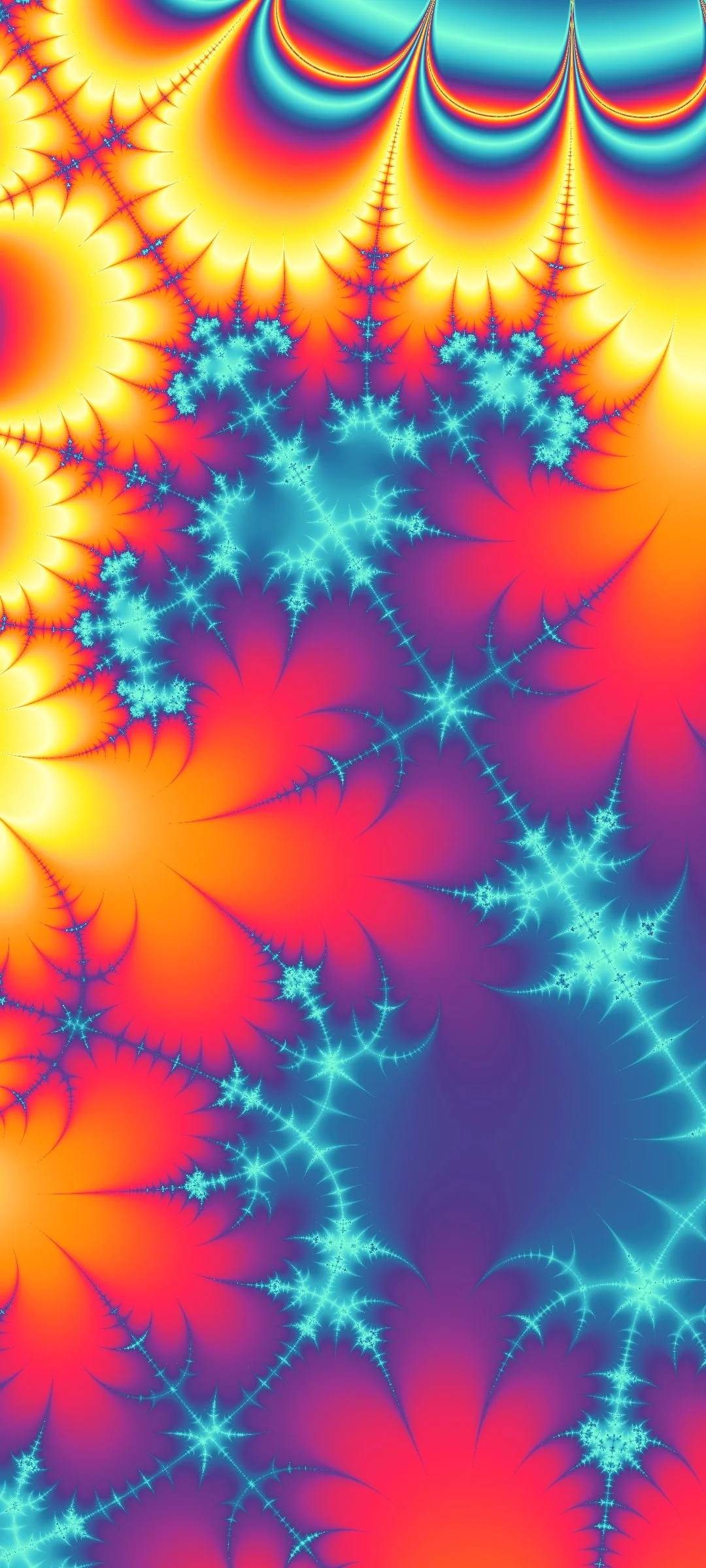 FE_20210330_104546 - Copy.jpg