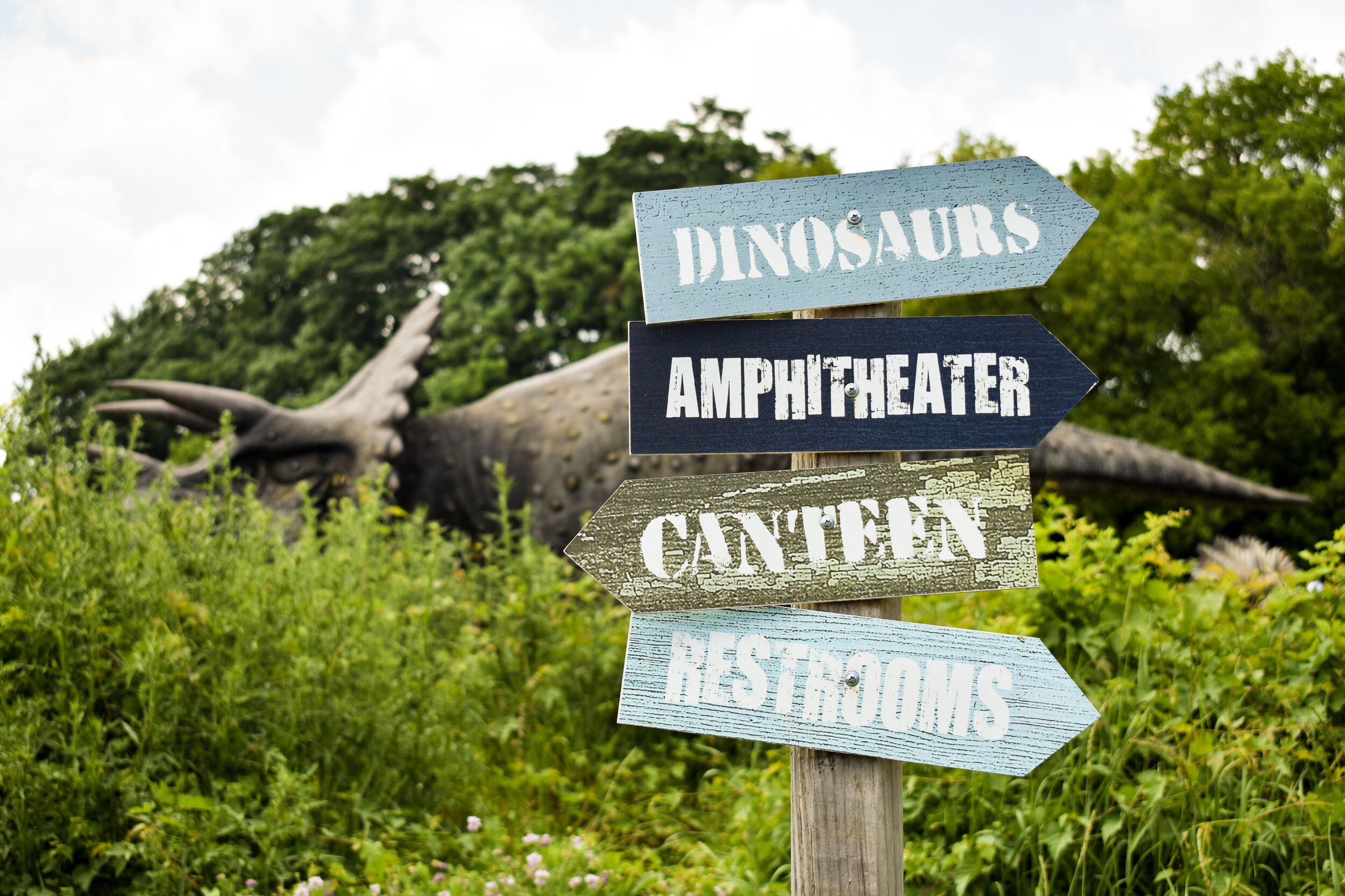 Dinosaur Fun at The Field Station