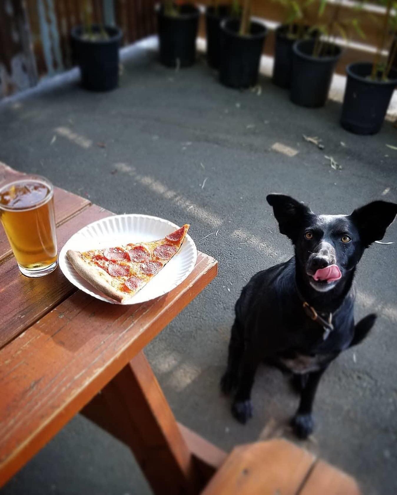 It&rsquo;s a good day to come hang on the back patio (with Mia!)