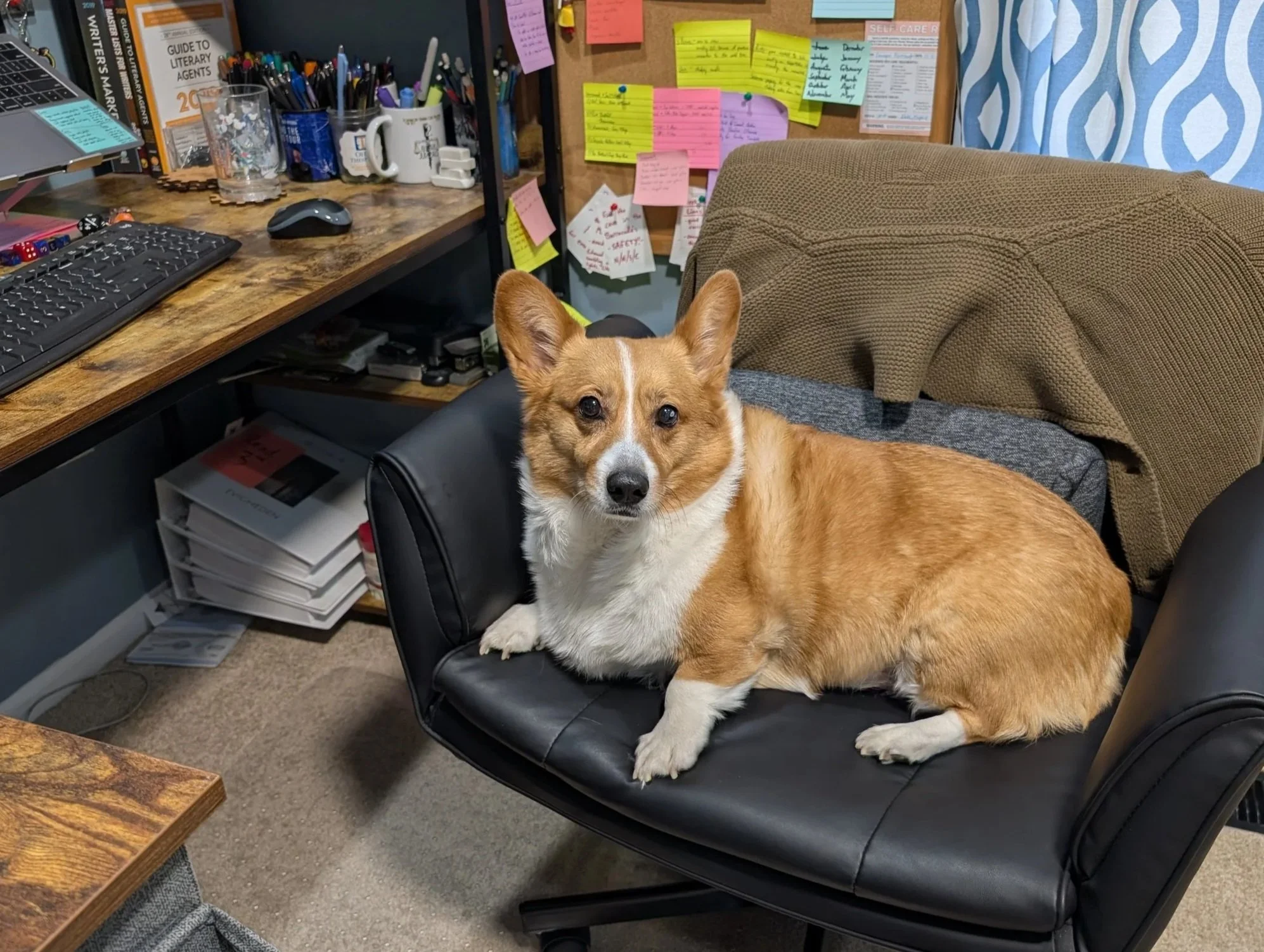 My Writer’s Corner