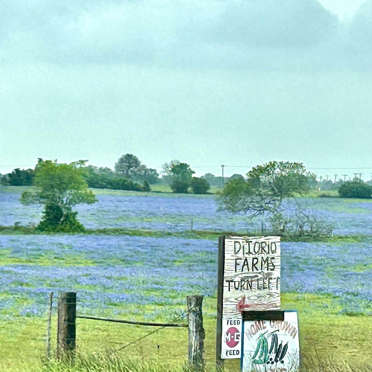 That time of year in our parts of Texas. 

Date announcement coming soon.  Stay tuned for 2023 updates y&rsquo;all.