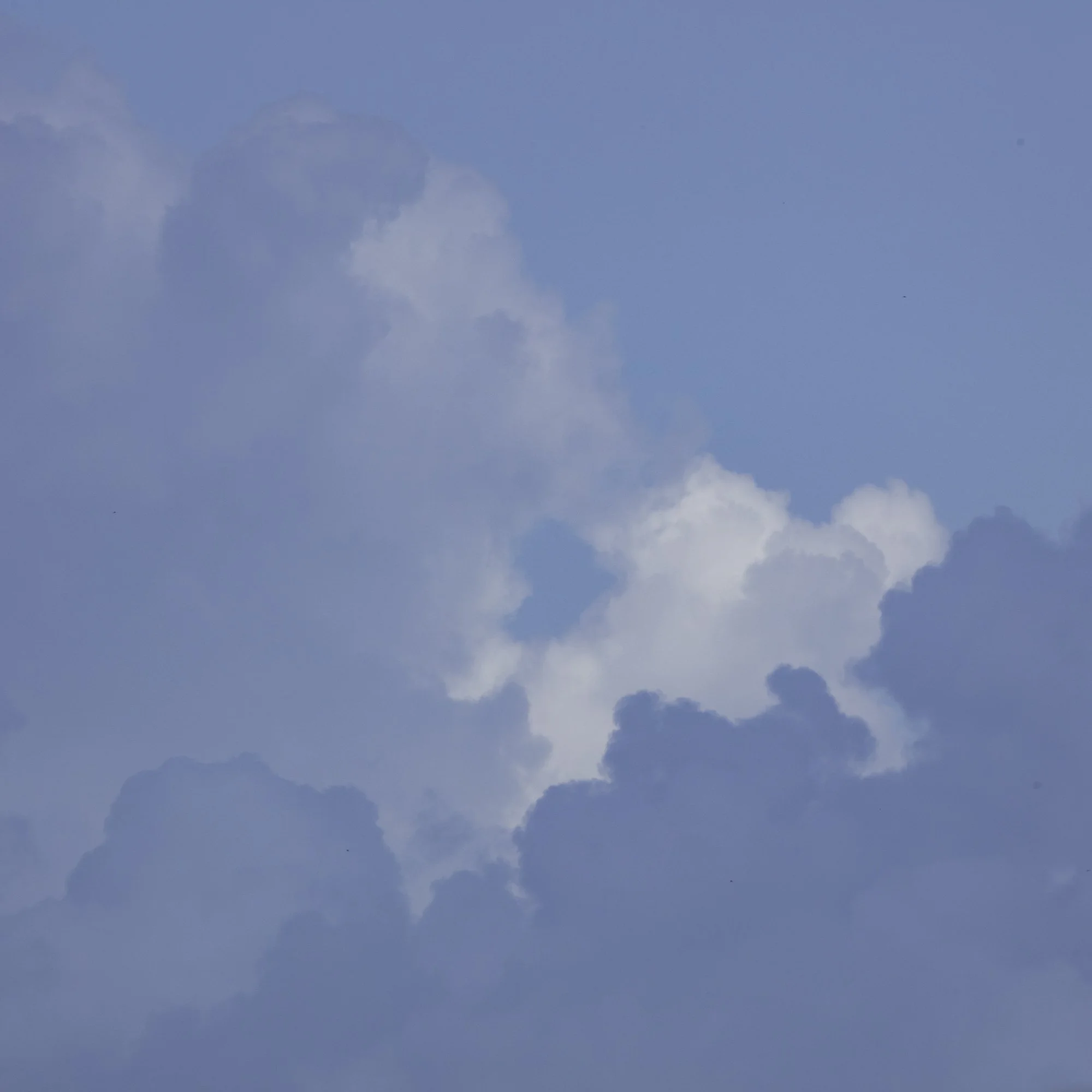 clouds-YFV_747120210806.jpg