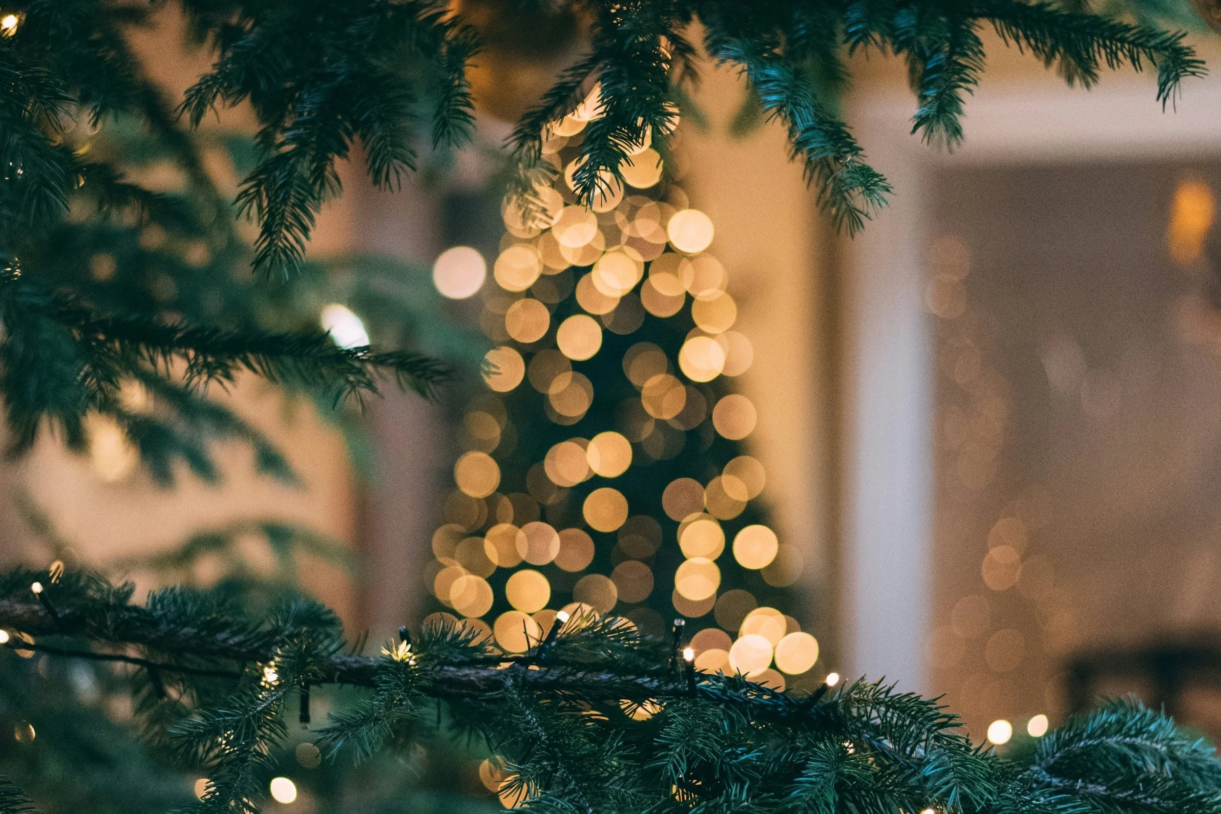 True Peace and Hope at Christmas