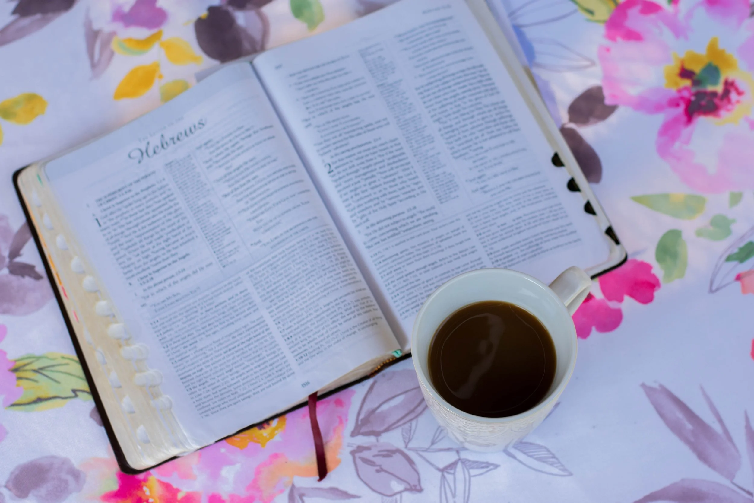 The Wonder of the Scriptures