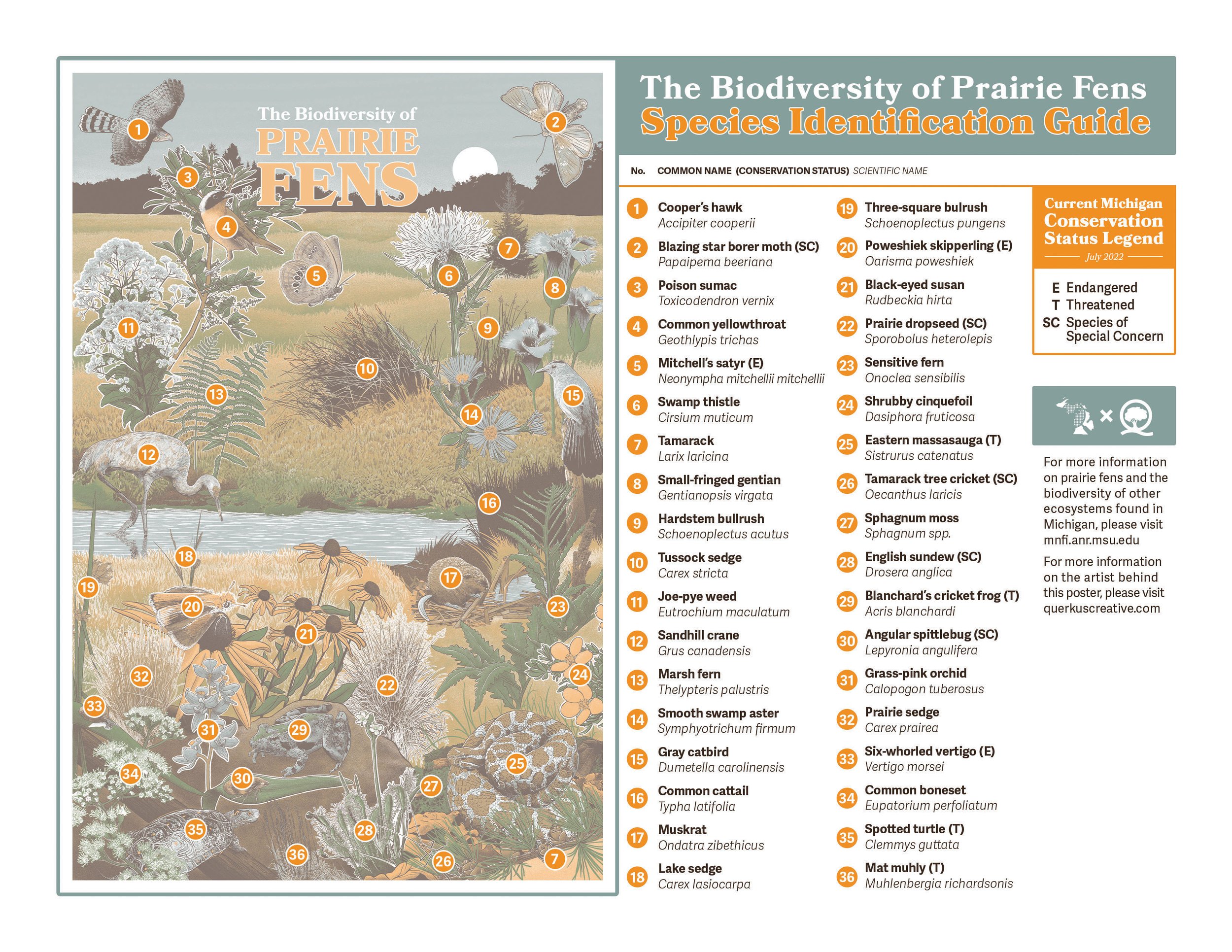 Prairie Fen - Michigan Natural Features Inventory