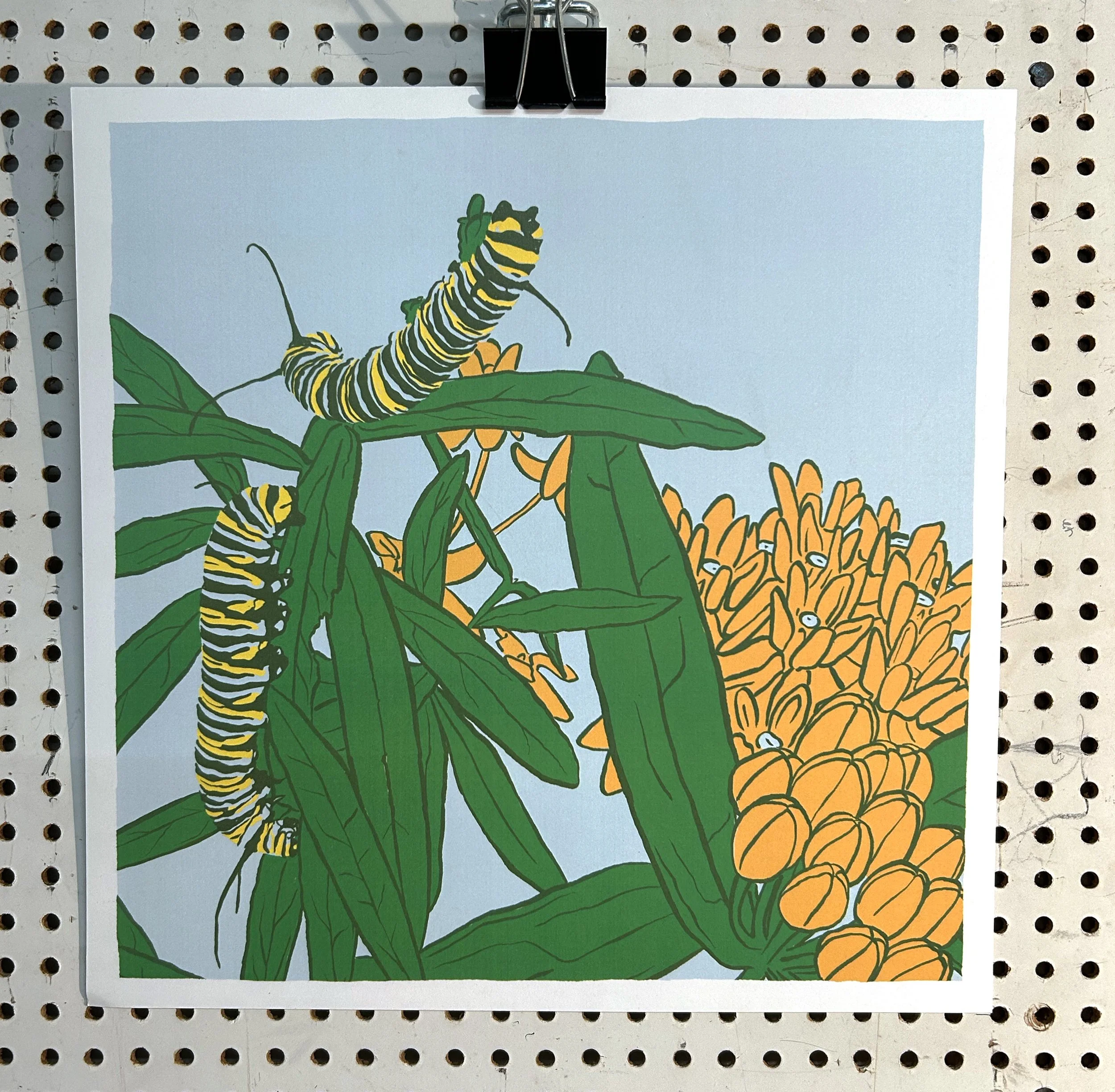 Butterfly Milkweed Product Image.jpg