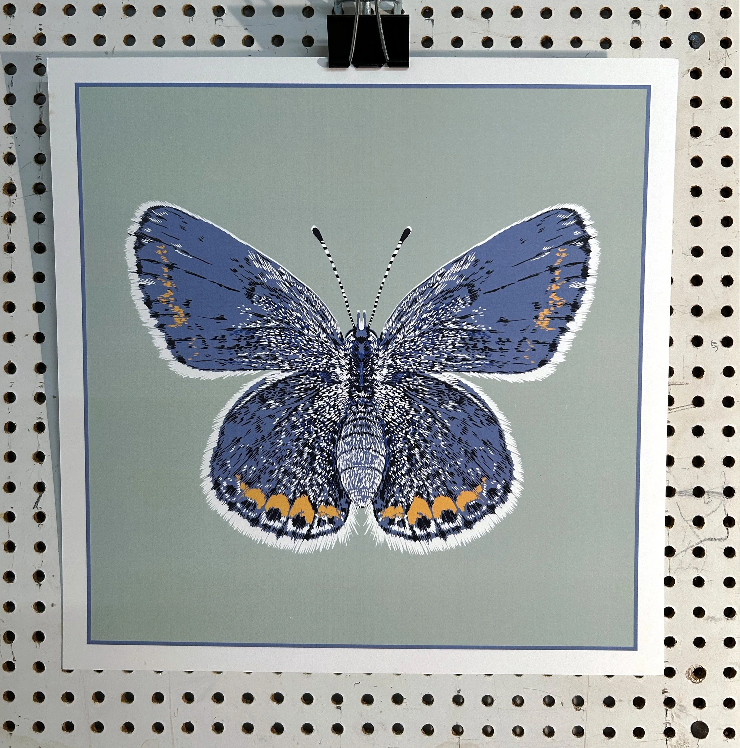 Karner Blue Product Image.jpg