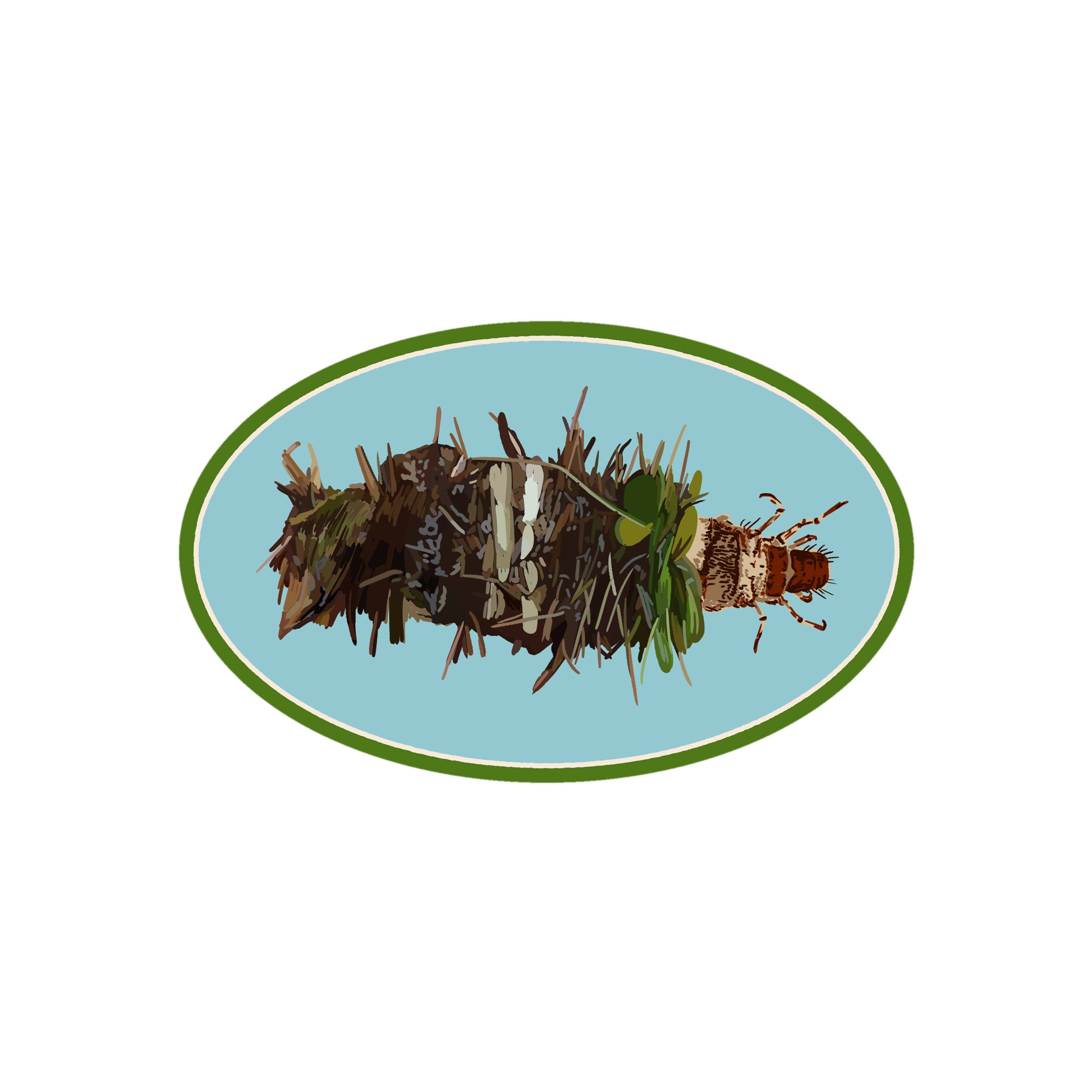 PREORDER - Caddis Fly Larvae Sticker