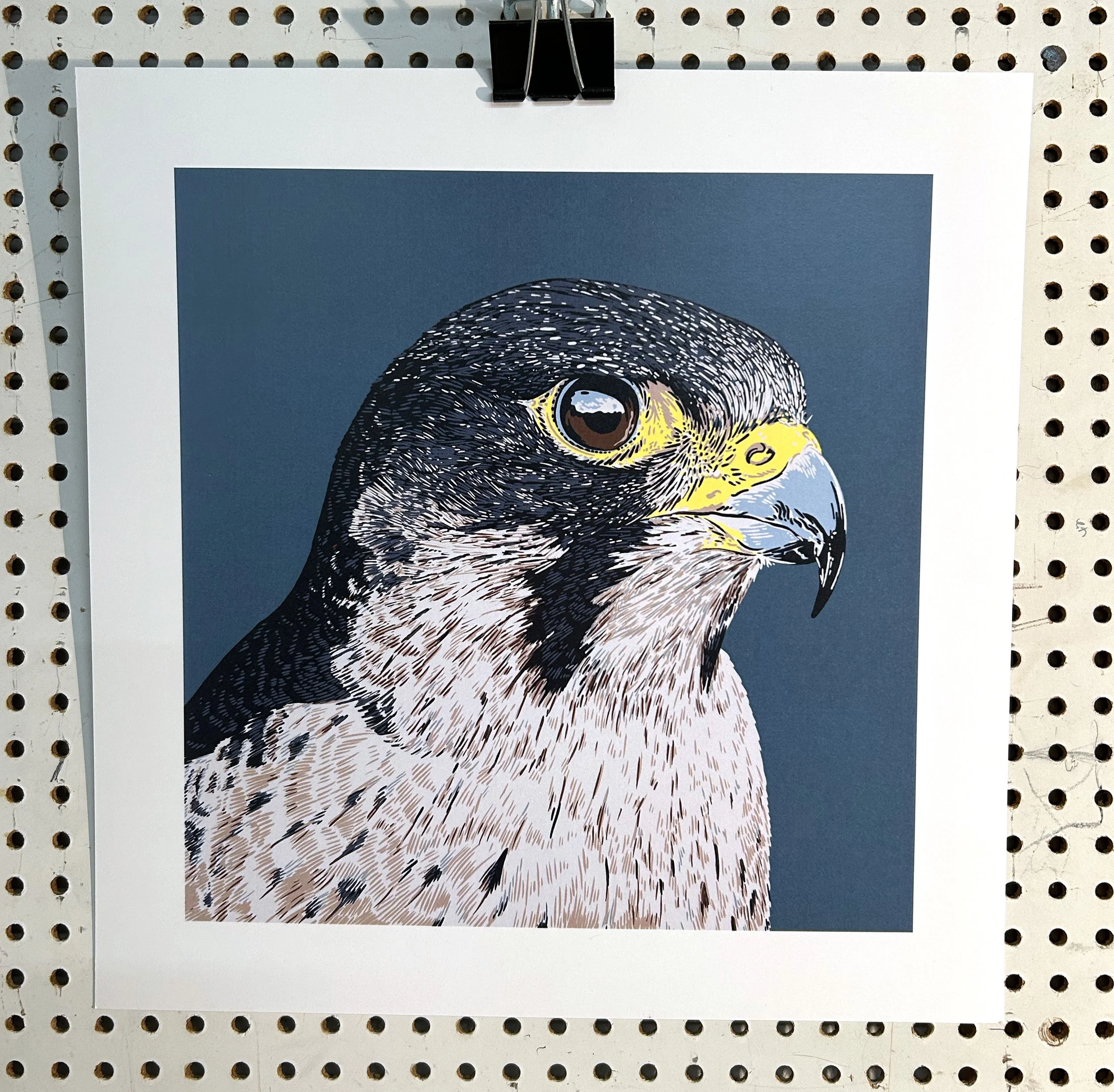 Peregrine Falcon Product Image.jpg