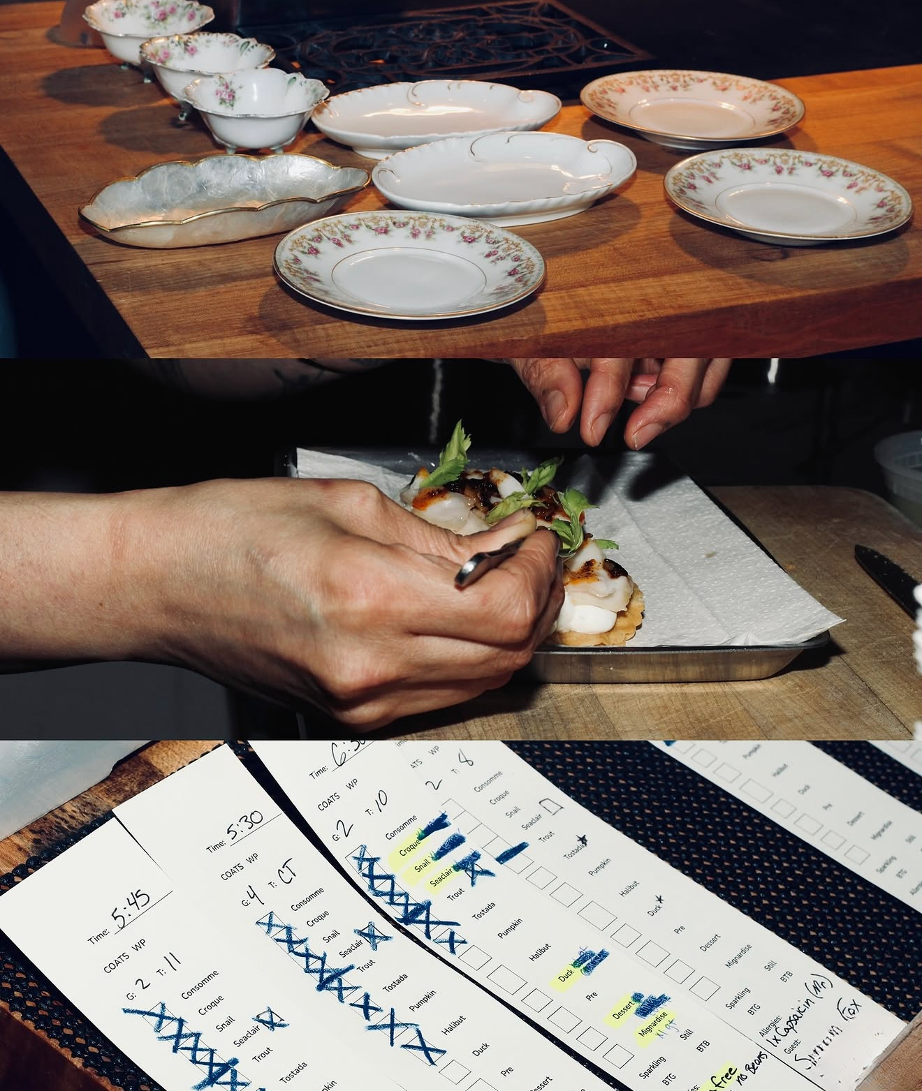 Untitled design (5).png