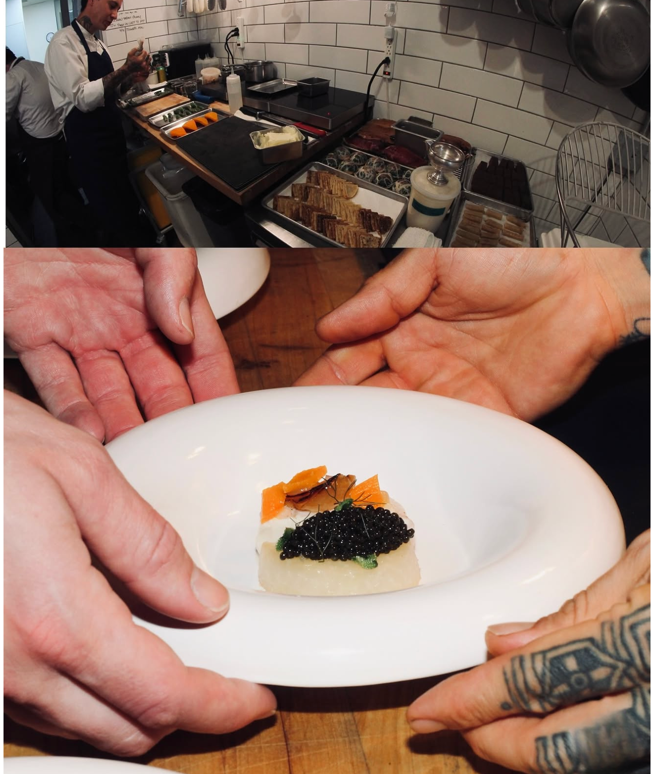 Untitled design (6).png