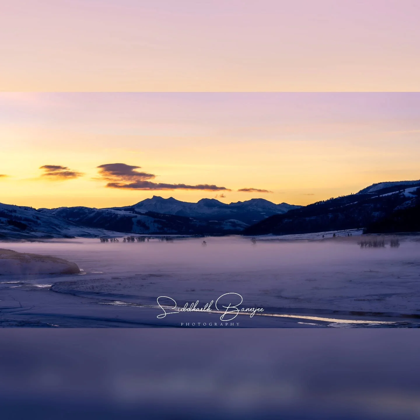 Embrace the tranquility of a winter dawn with me. 🌄 A gentle reminder of nature&rsquo;s untouched beauty waiting to be explored. 
The trip only got more exciting from here with multiple wolf sightings!
#SereneWild #naturalwonders