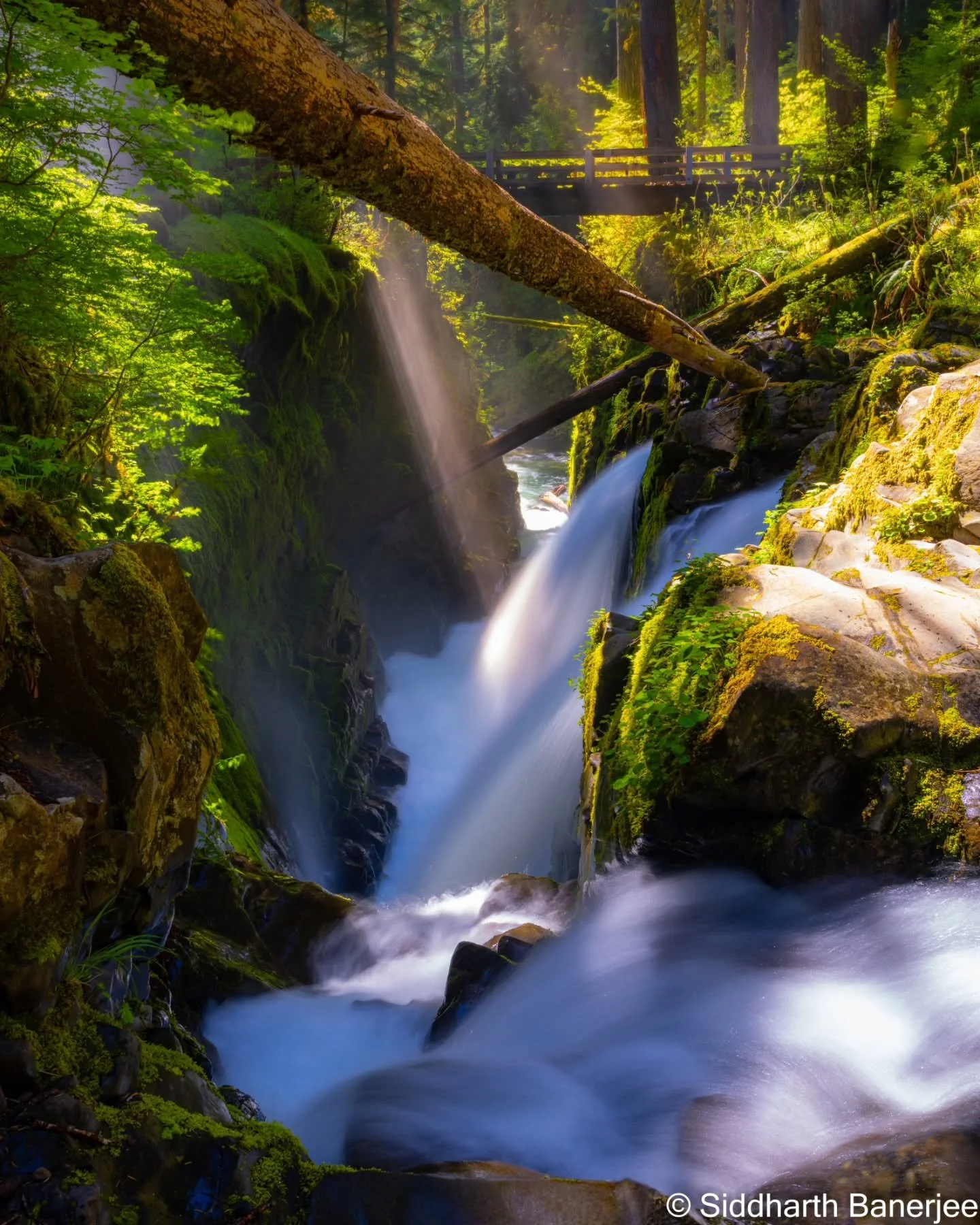 Nature&rsquo;s lullaby in streams and waterfalls 🏕️ #NaturePhotography #olympicnationalpark
