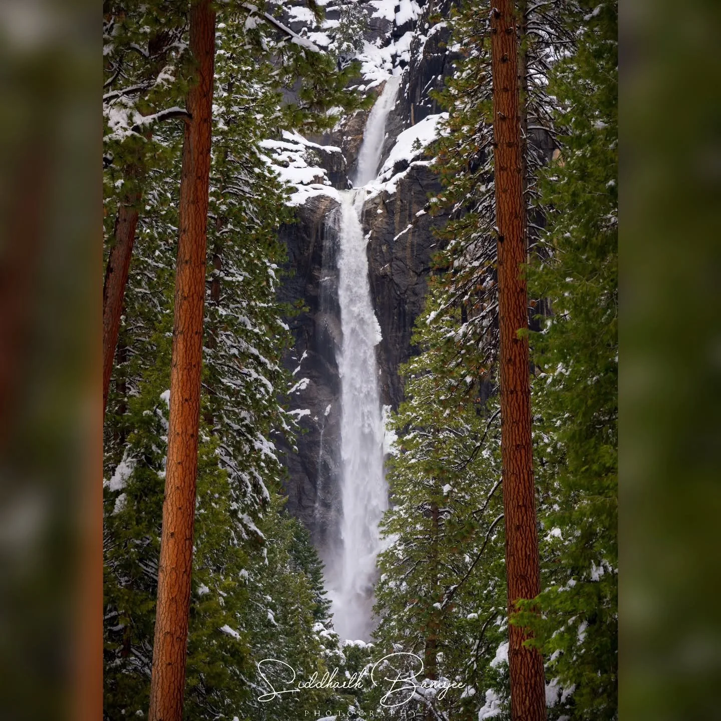 Nature's Frame😍
Chasing waterfalls in winter's embrace&mdash;Yosemite falls.
Here's to the quiet moments in wild beauty. 🌲✨ #WinterWonders #NaturePhotography #WaterfallMagic #ExploreWildPlaces