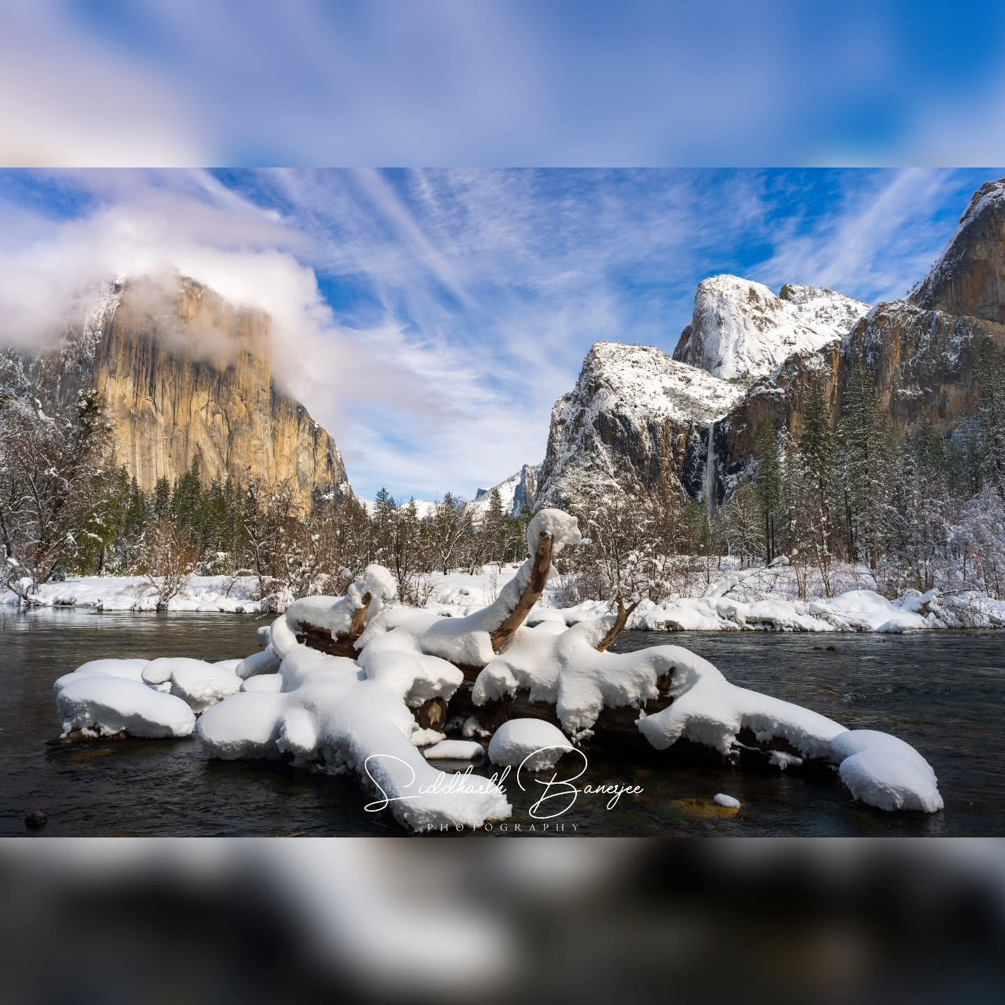 Amidst the scale and stillness of Yosemite's winter embrace, I find wonder and quiet moments that redefine adventure. Every click captures nature's art, a journey into its untouched splendor. ❄️

 #ExploreYosemite #NaturePhotography #WinterWonders #c