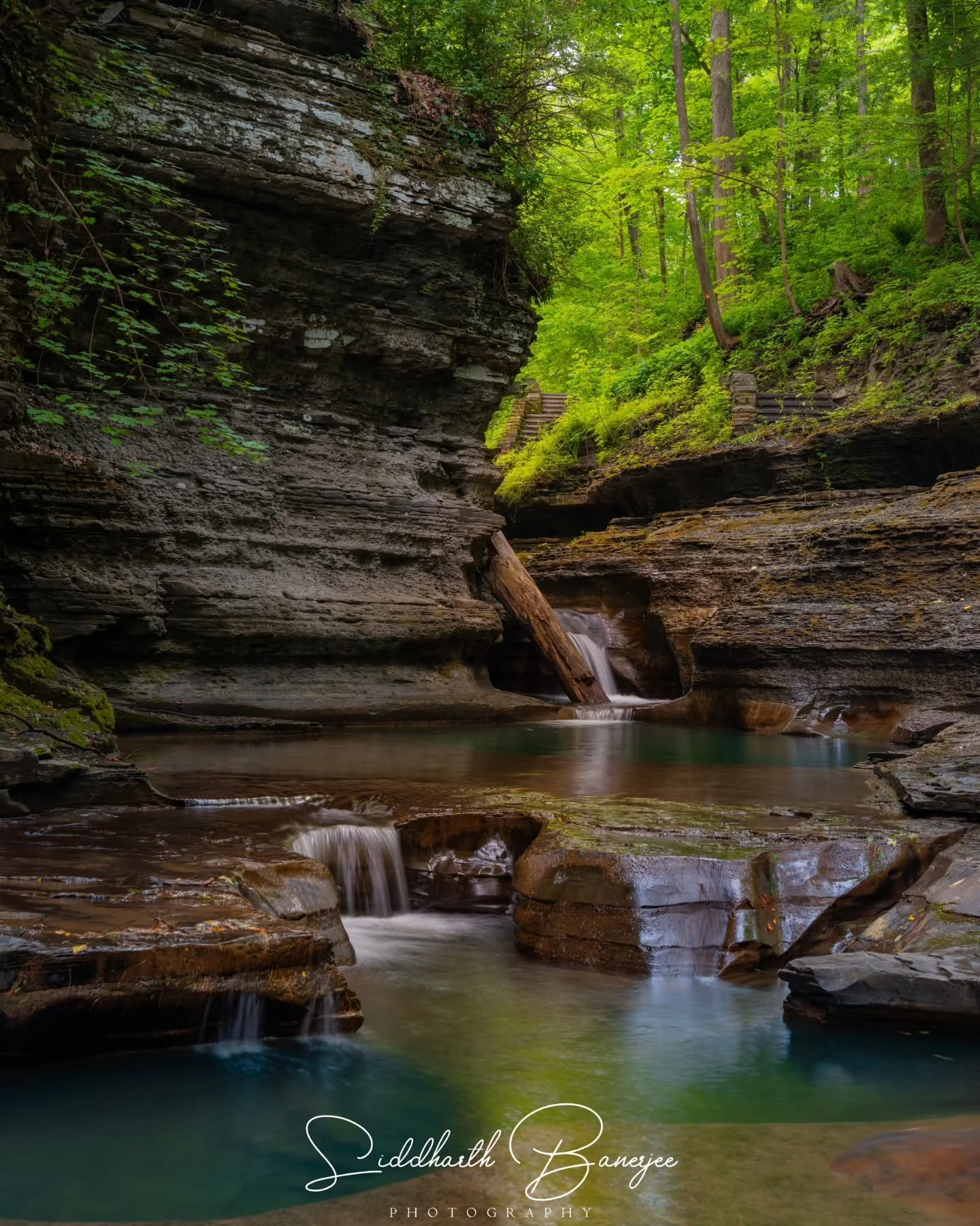 Excited to be heading to the finger lakes again in a few weeks! Just loved the gorge and waterfalls in the area! 

#longexposurephotography #WaterfallPhotography #fingerlakesny #sonyalpha