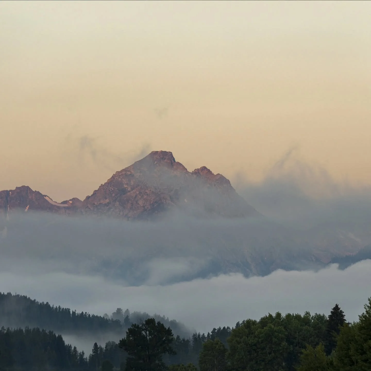 Photo 1/3 from a beautiful sunrise panorama of the grand Teton taken from Oxbow bend😍 I'll never forget this morning! I saw my first grizzly bear in the wild a few minutes after this and only found out later that it was Grizzly399 with her 4 cubs in