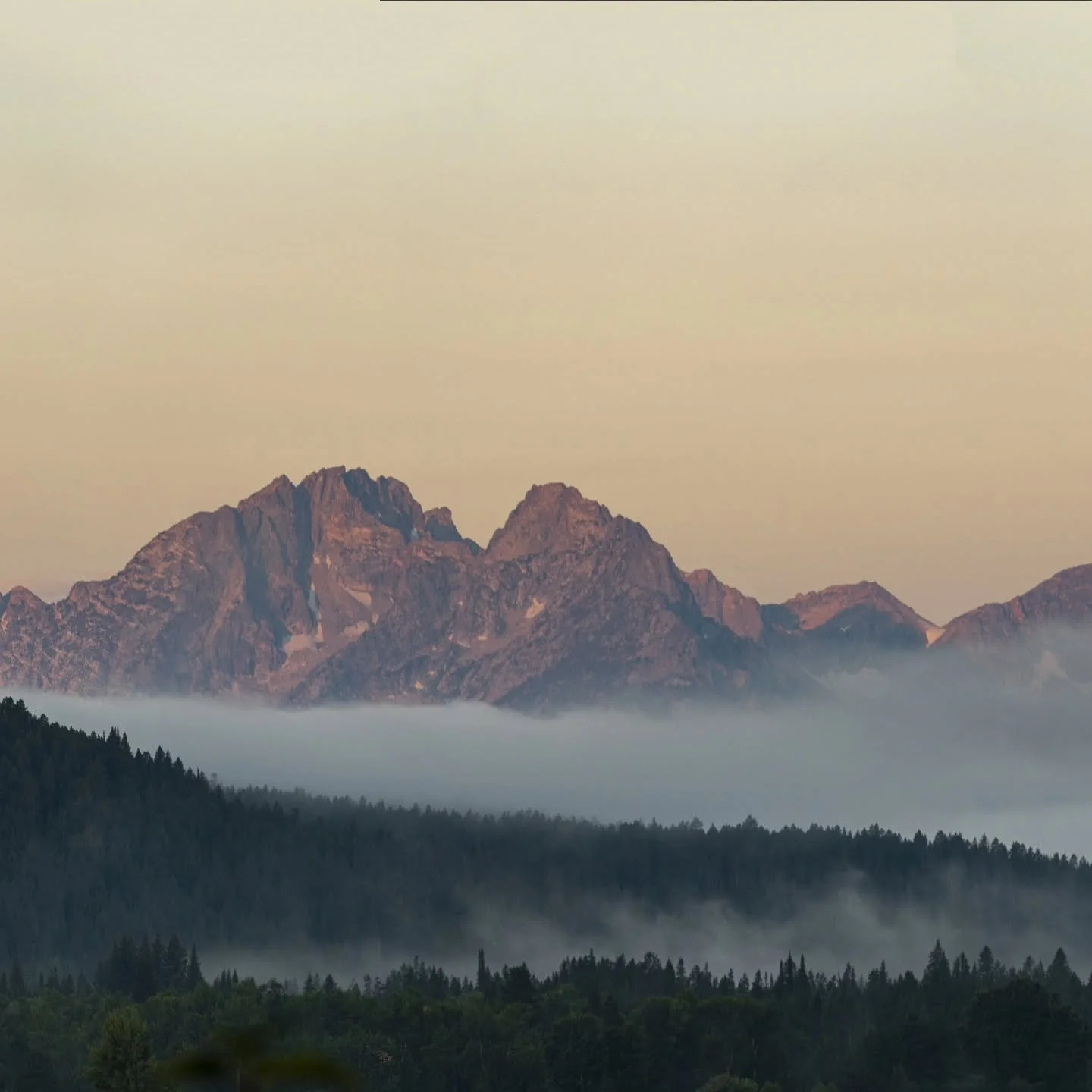 Photo 2/3 from a beautiful sunrise panorama of the grand Teton taken from Oxbow bend😍 I'll never forget this morning! I saw my first grizzly bear in the wild a few minutes after this and only found out later that it was Grizzly399 with her 4 cubs in