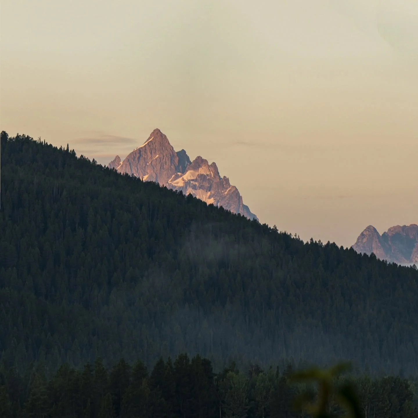 Photo 3/3 from a beautiful sunrise panorama of the grand Teton taken from Oxbow bend😍 I'll never forget this morning! I saw my first grizzly bear in the wild a few minutes after this and only found out later that it was Grizzly399 with her 4 cubs in
