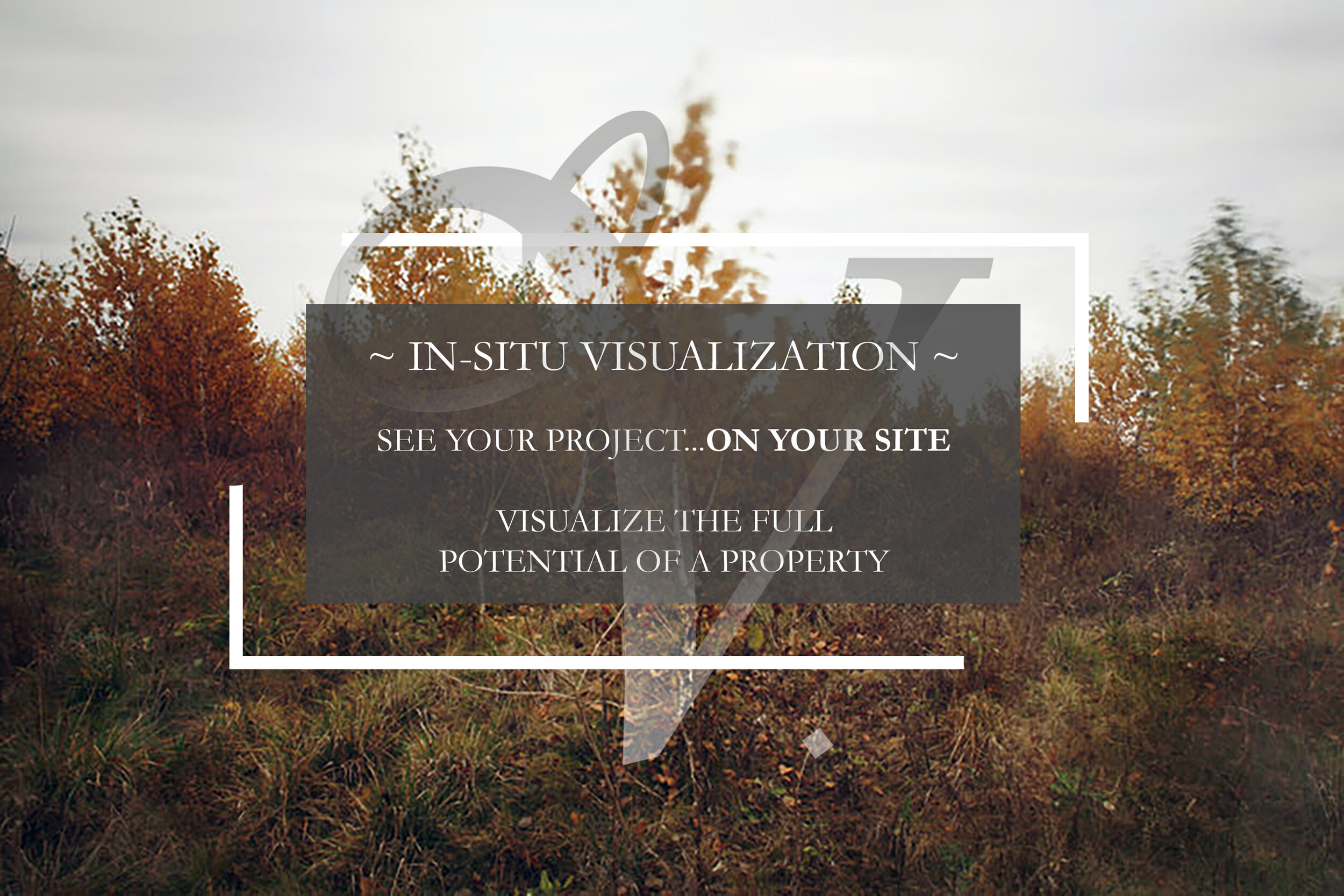In-Situ Visualization1.jpg