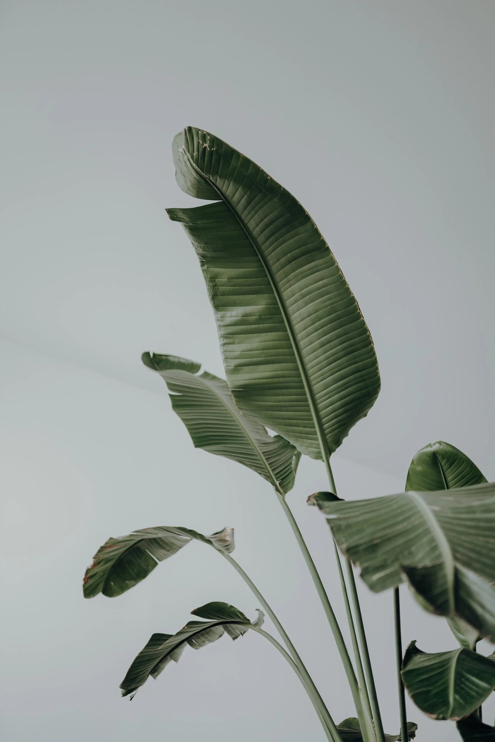 unsplash-image-XmR3y0bp3Kw.jpg