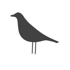 FELDMAN, CARTER, AND LEÓN at BOWERBIRD CONCERTS