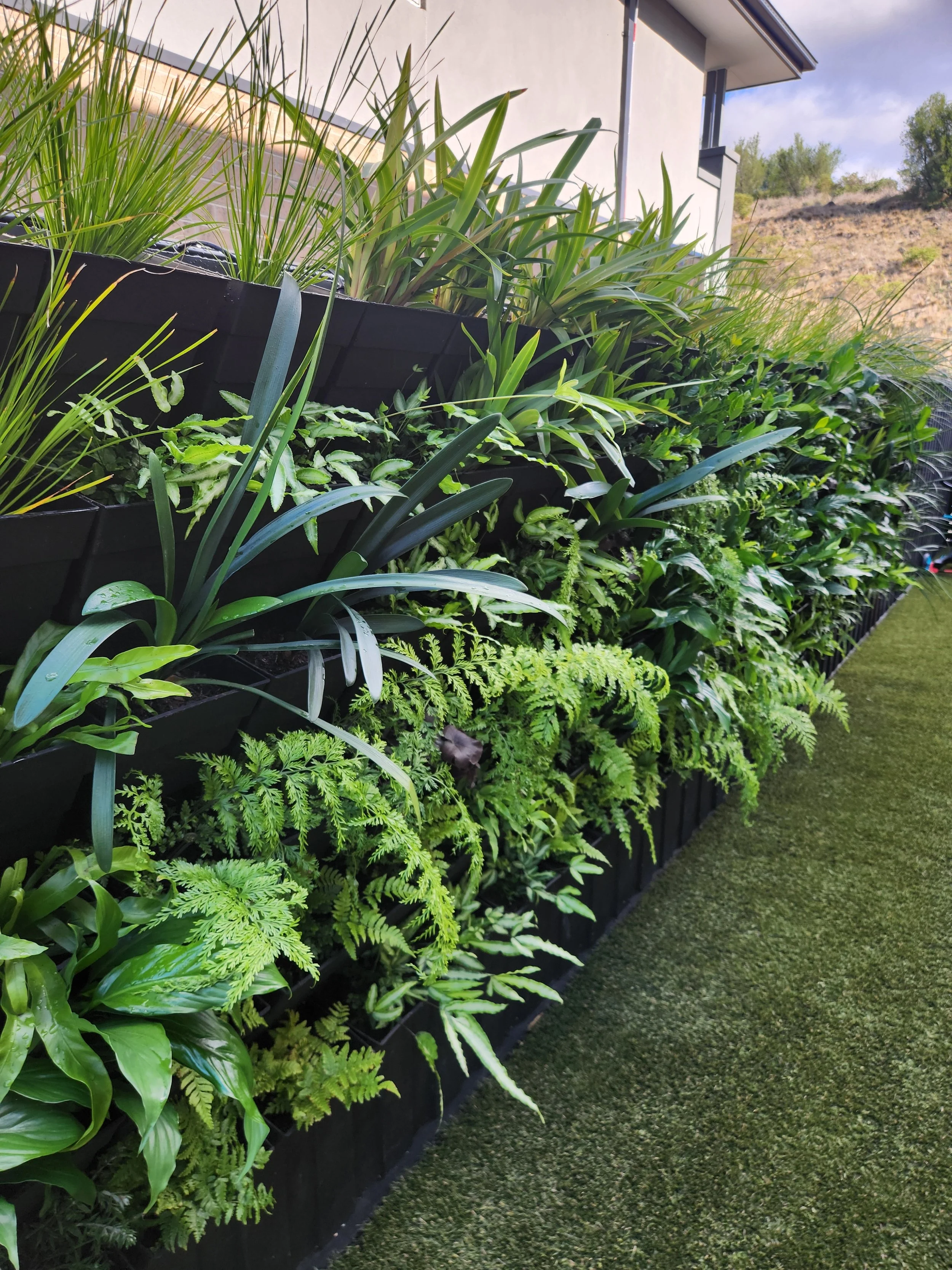 Vertical Garden Installation in Sunshine, VIC