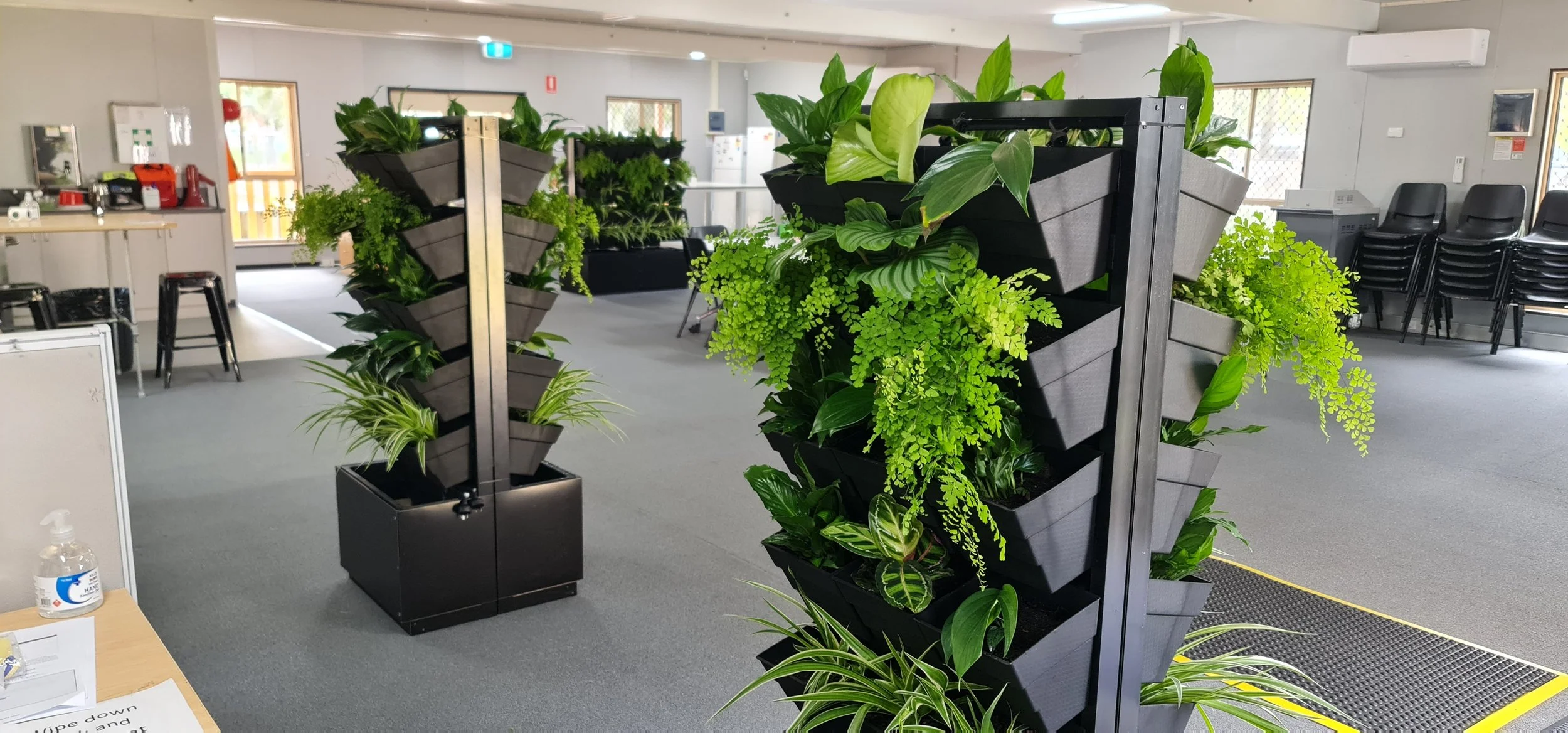 Breathe Easy: How Indoor Plants Improve Air Quality