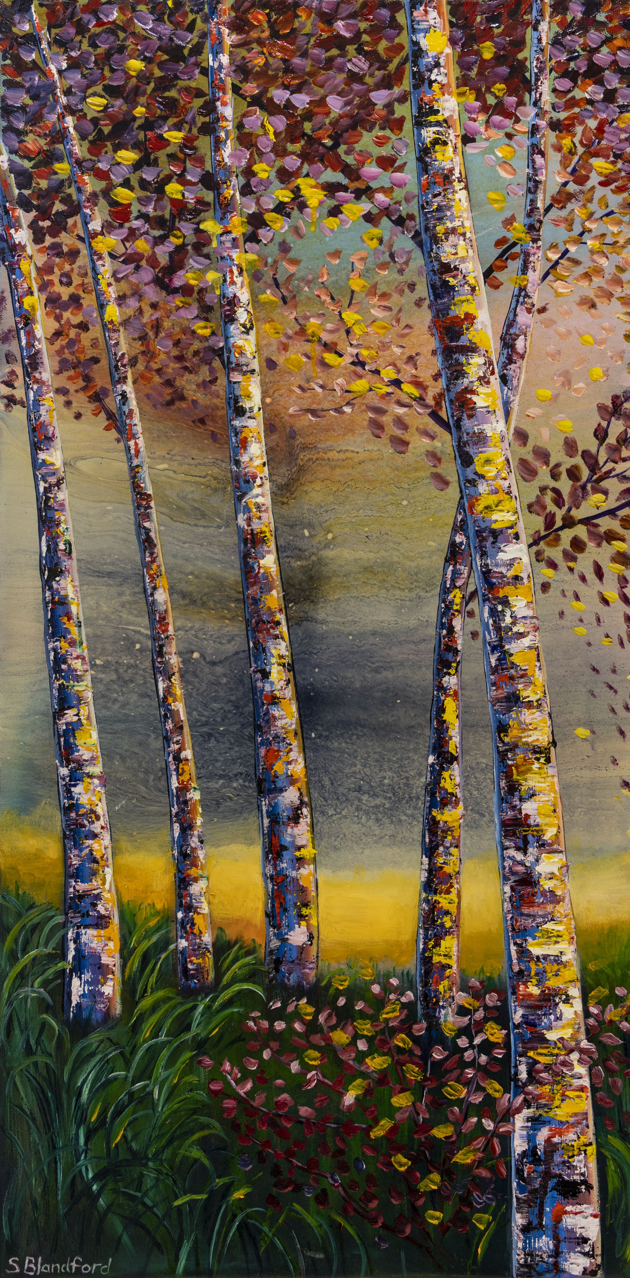 A walk through Deermond