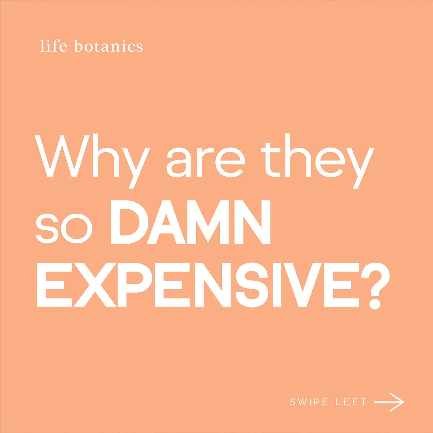 why so expensive.jpg