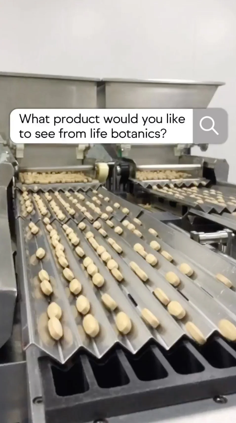 Screenshot 2023-06-22 at 1.53.32 am.jpg