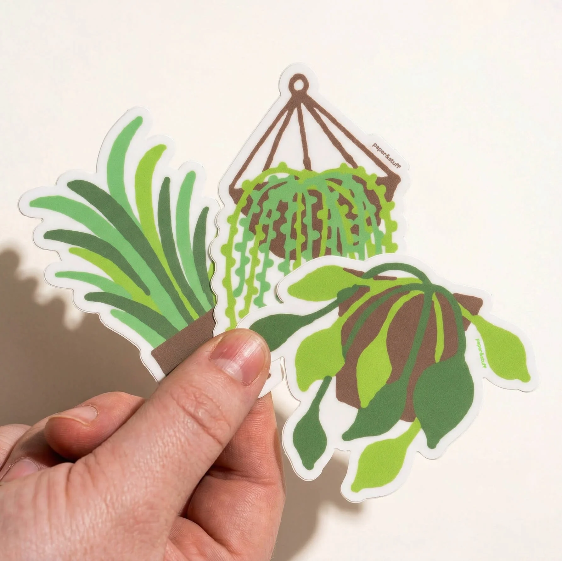 Hanging Succulent 3.jpg