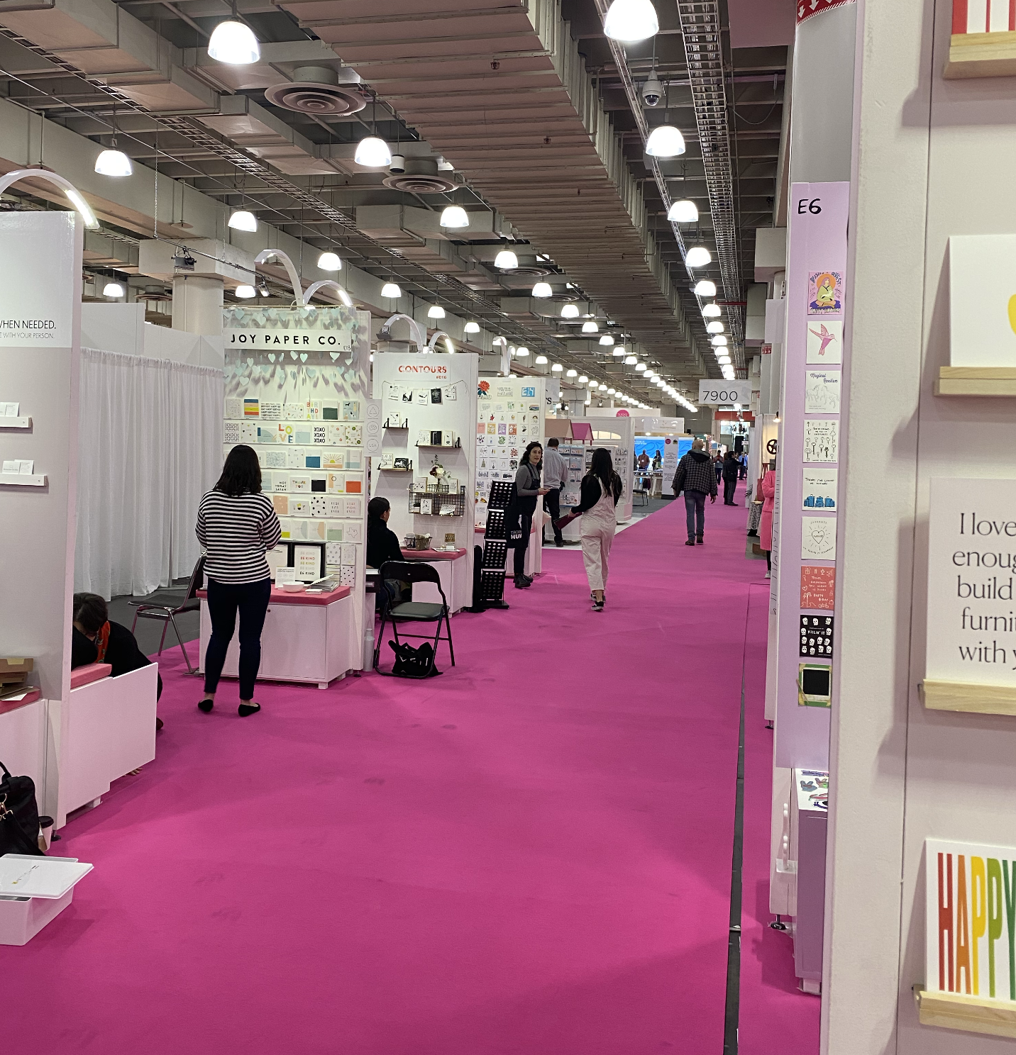 The infamous NSS pink carpet.