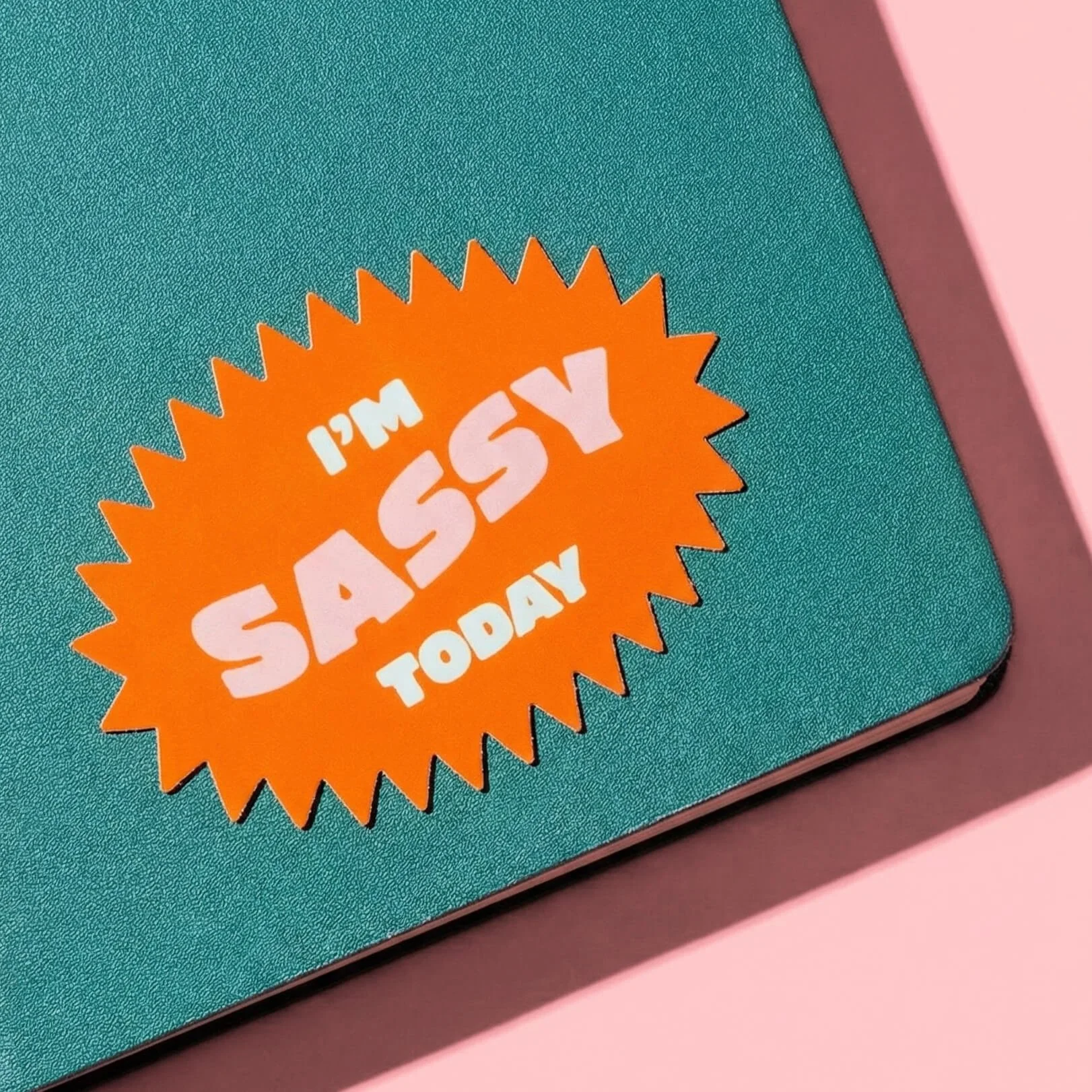 I'm Sassy Today-3.jpg