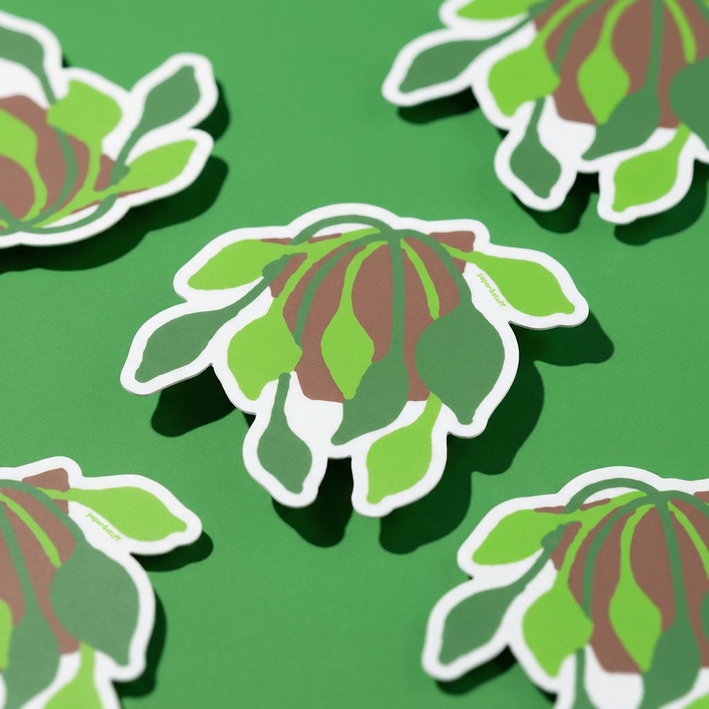 Hanging Plant Sticker Pile.jpg