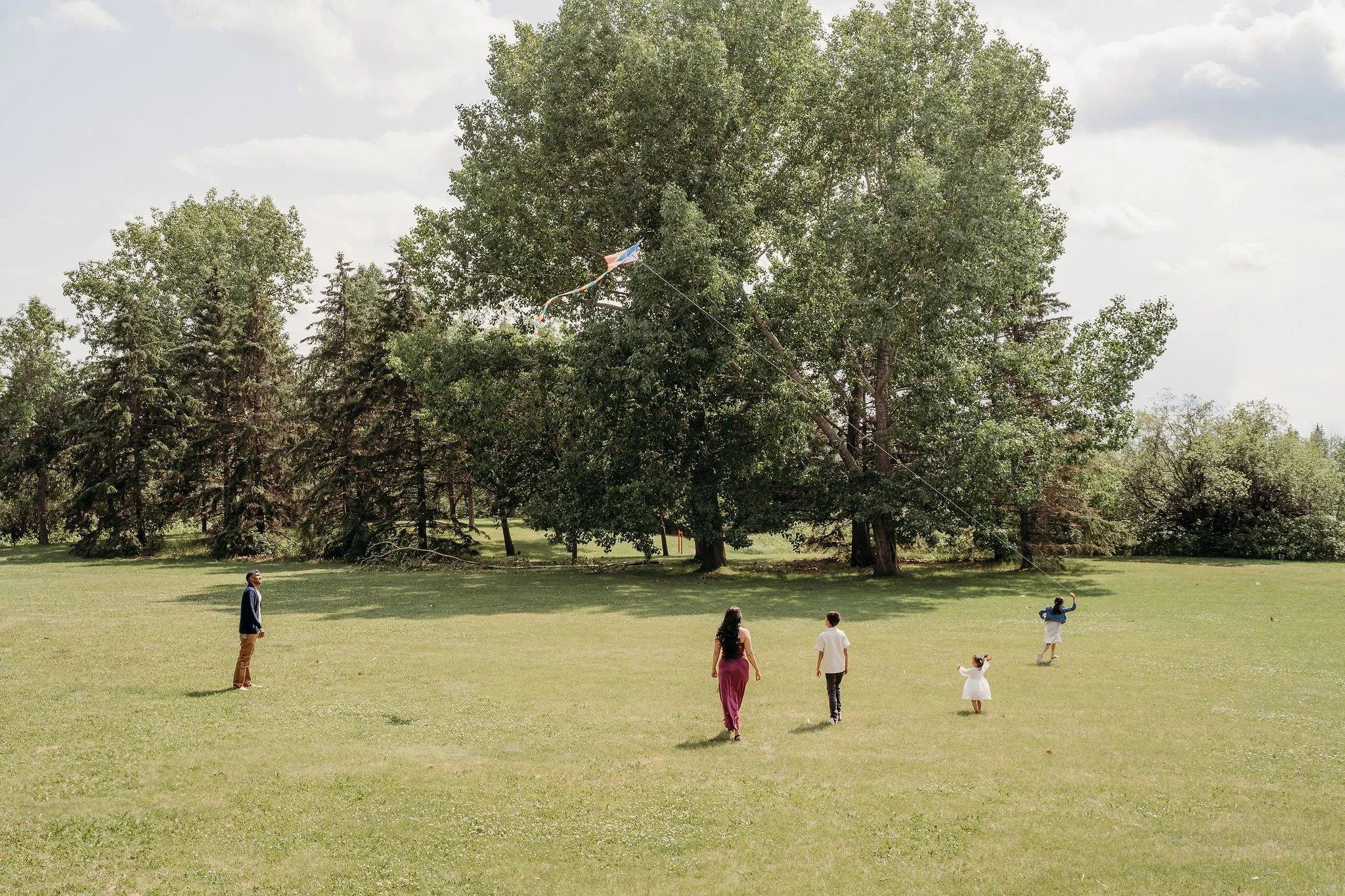 A family flying a kite in a park with large trees in the background, children playing and adults walking on the grass.