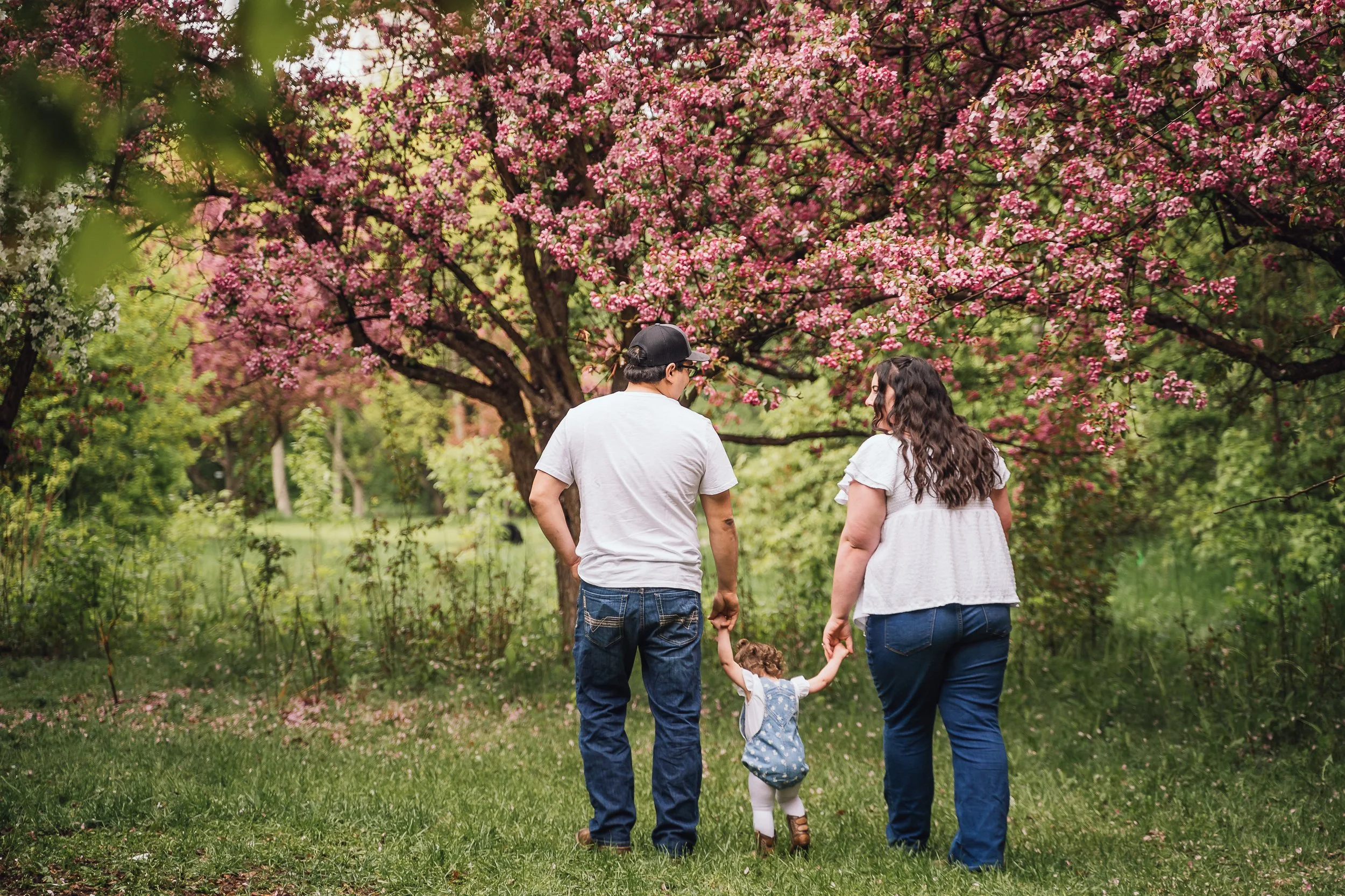 5 Places in Edmonton to Take Cherry Blossom Photos