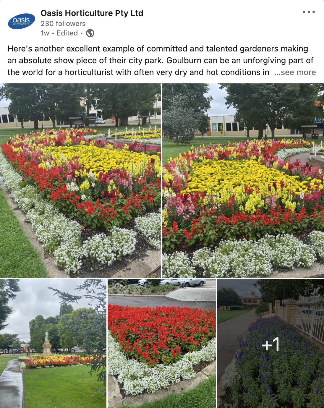 Screen Shot 2022-03-24 at 5.19.25 pm.png